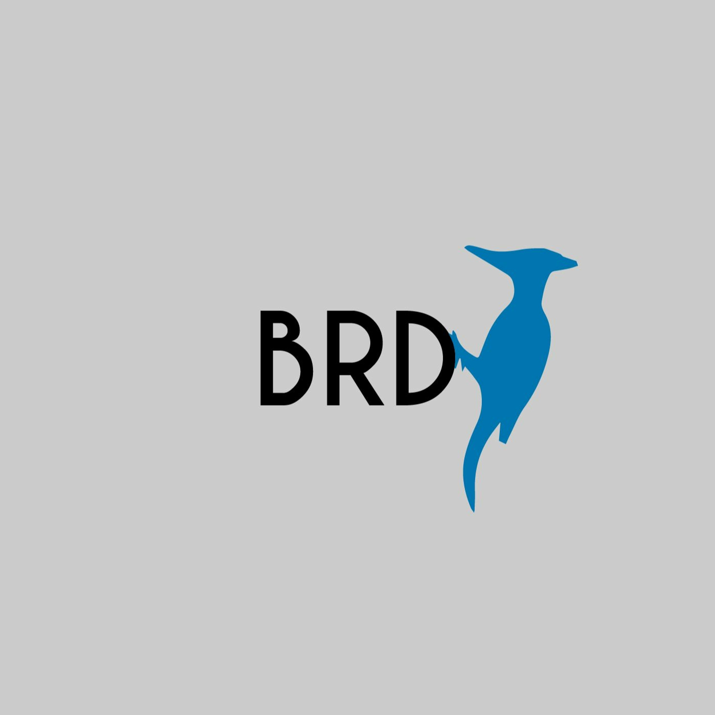 BRD Nest