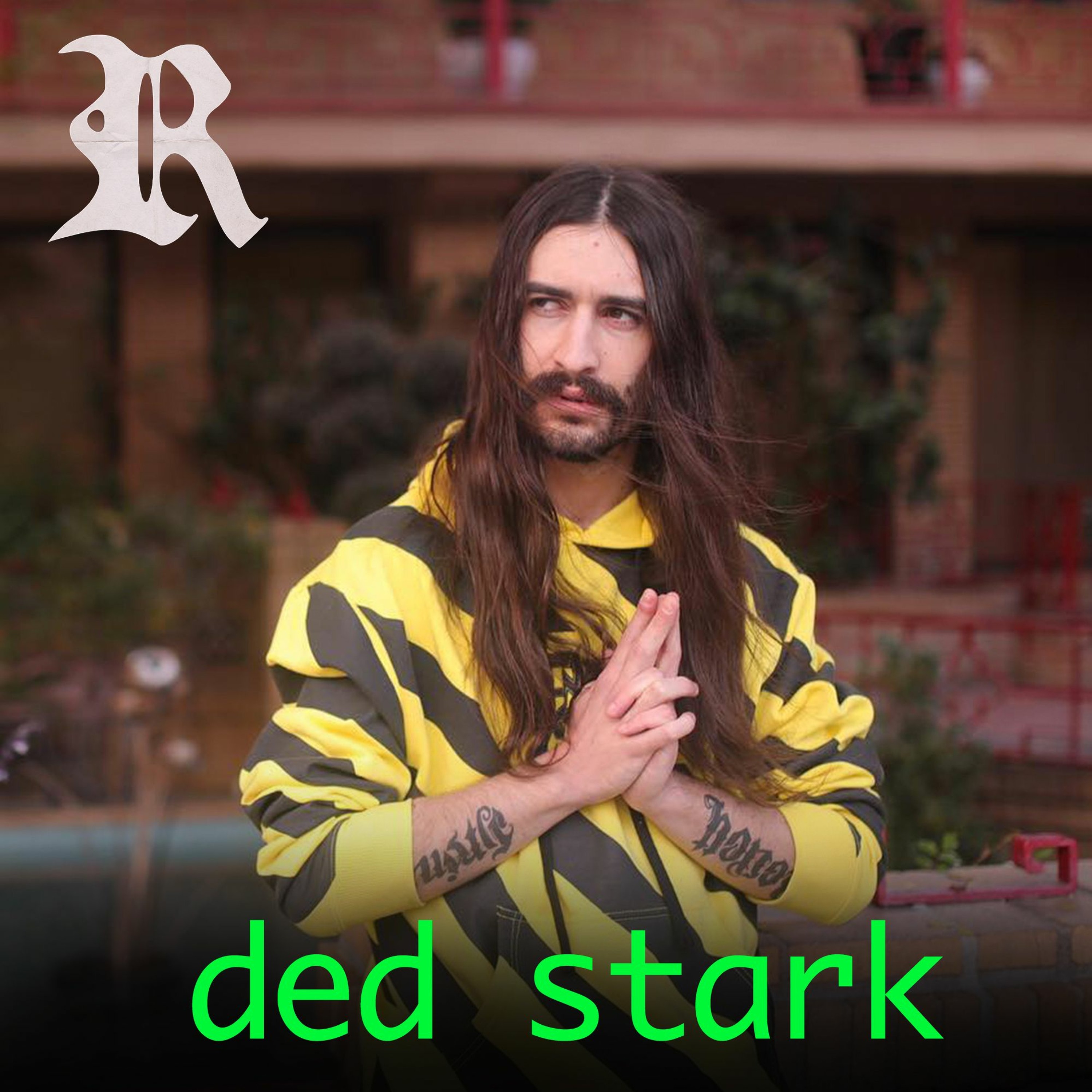 The Ded Stark Interview