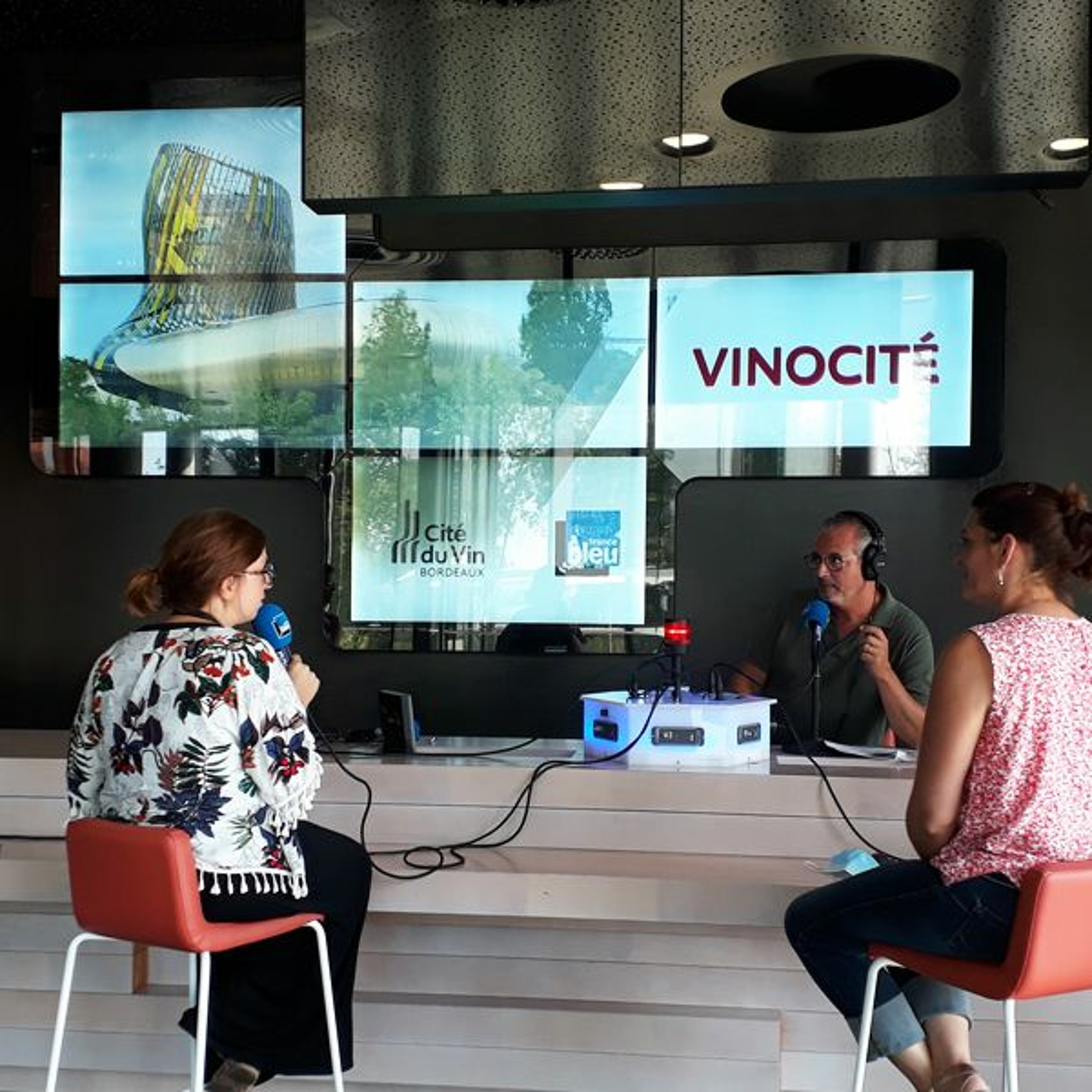 Vinocité : Afrique du Sud
