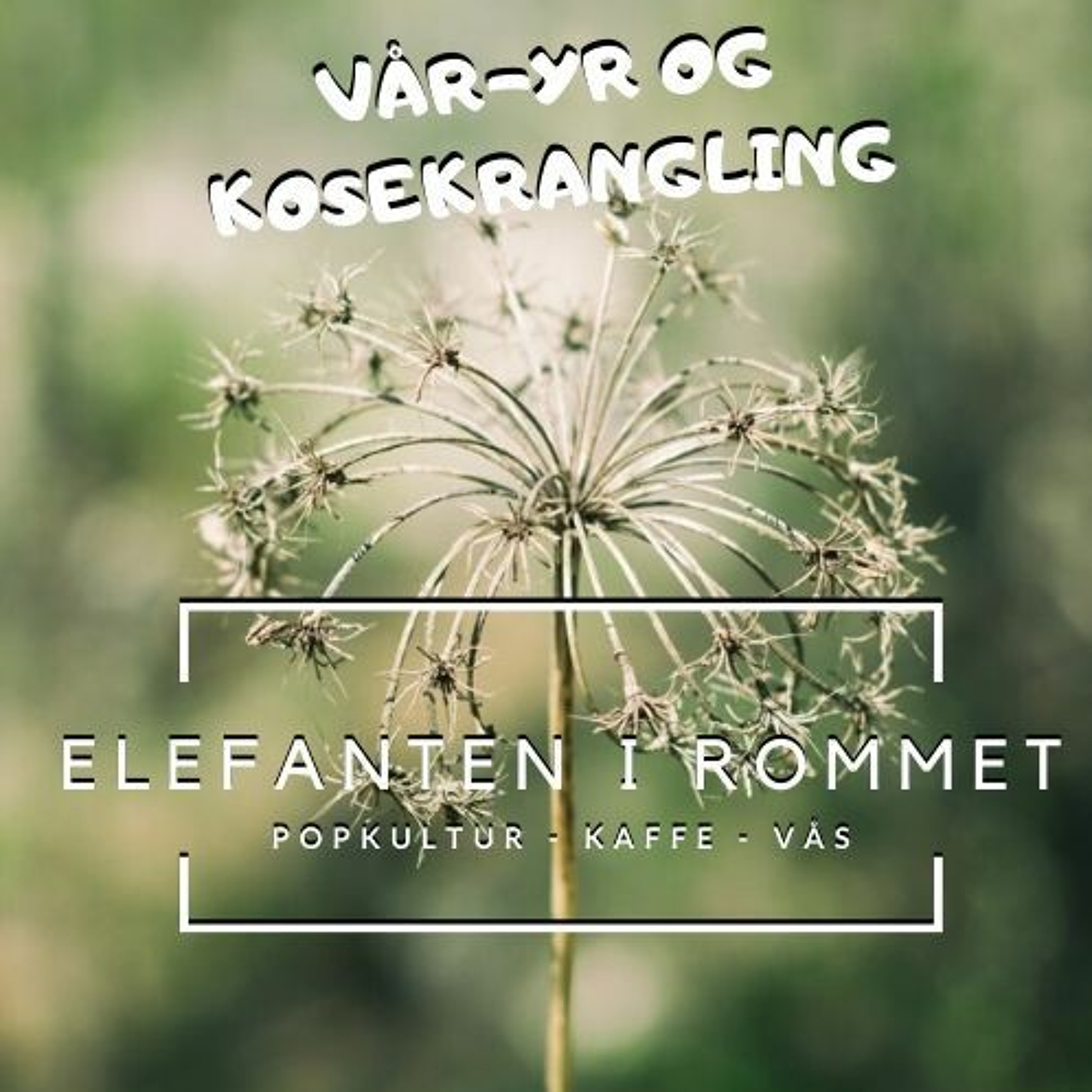 Elefanten i rommet