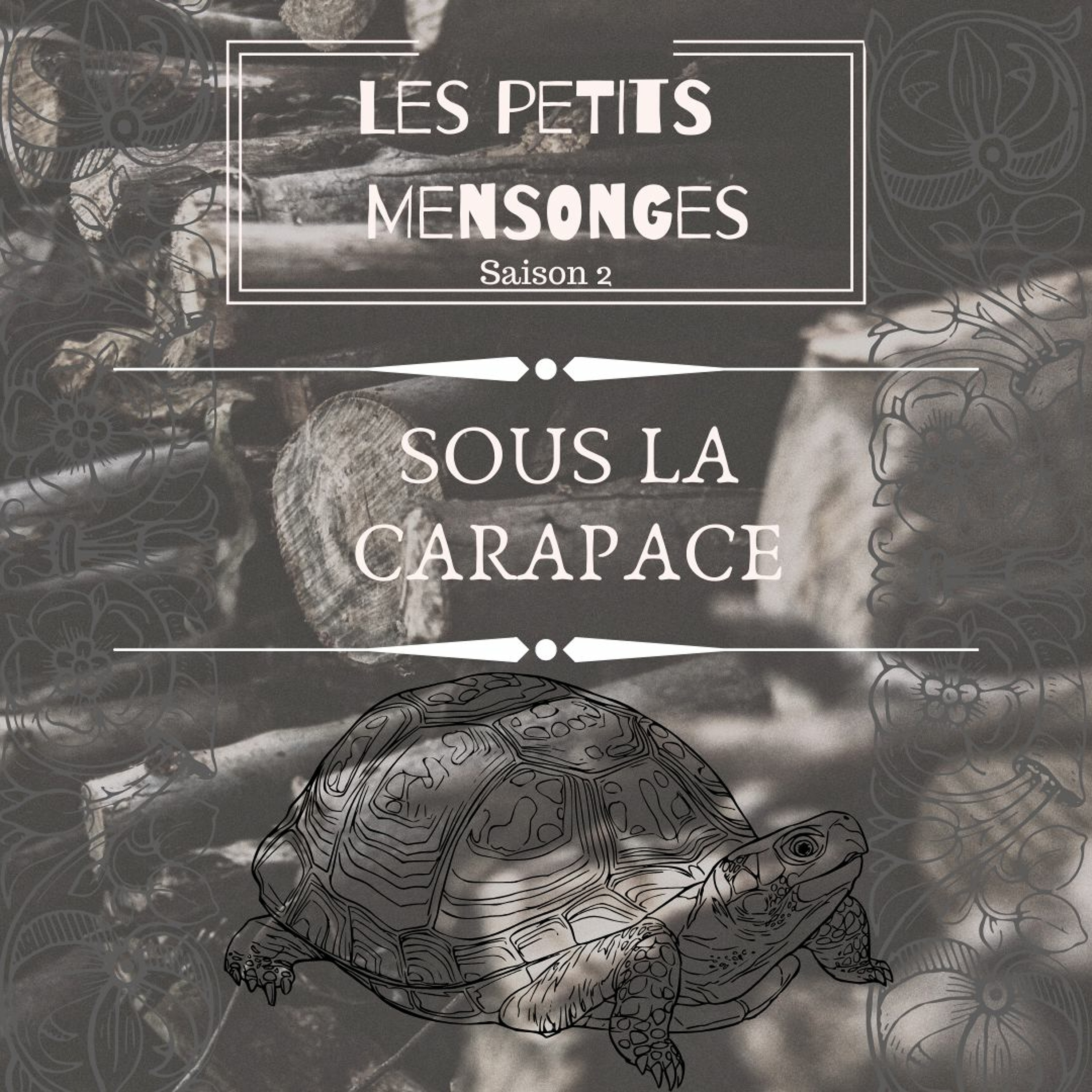 Les Petits Mensonges