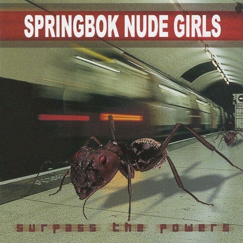 Stream Giant Love Affair By Springbok Nude Girls Listen Online For