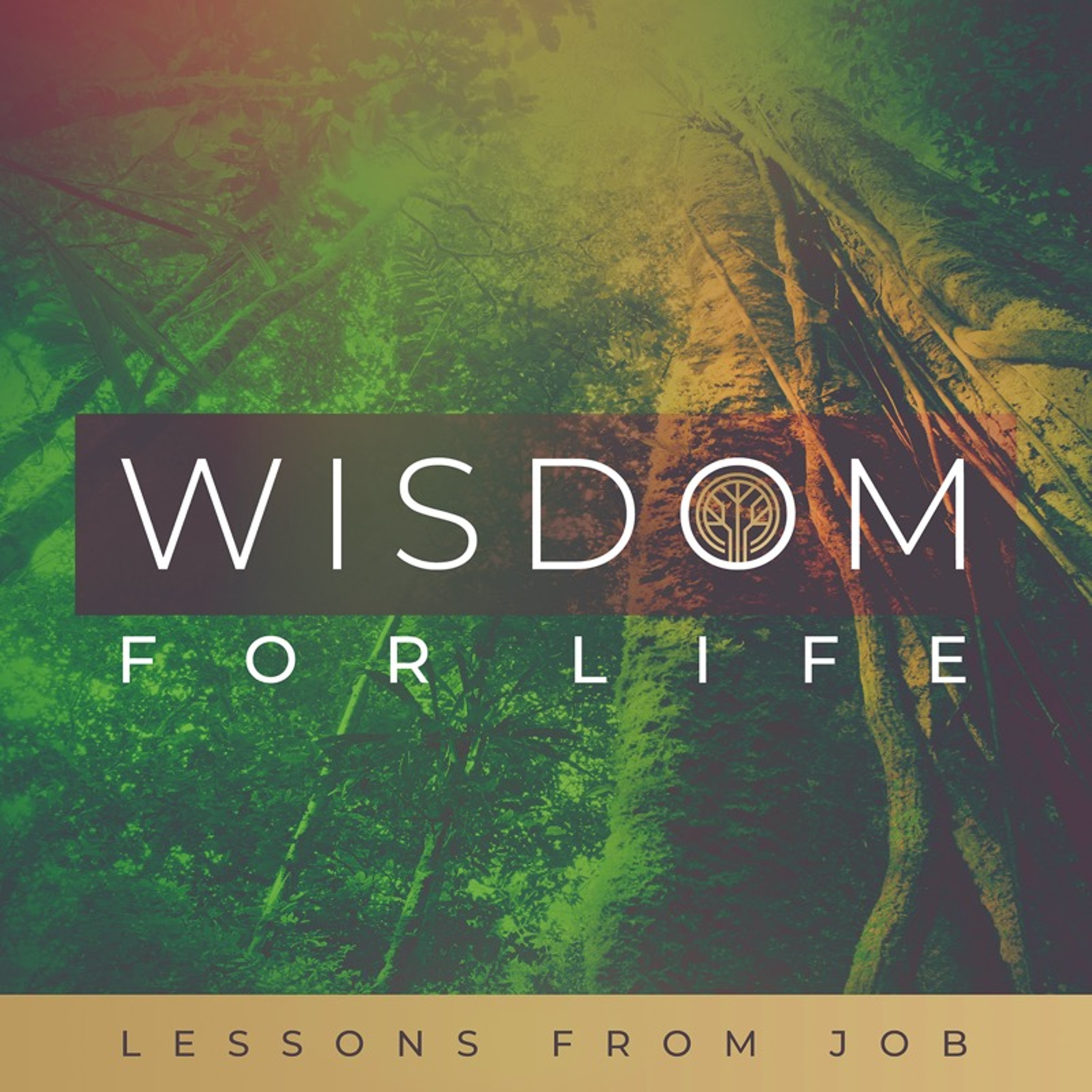 Suffering and the Wisdom of God | WISDOM FOR LIFE | Job 1-2