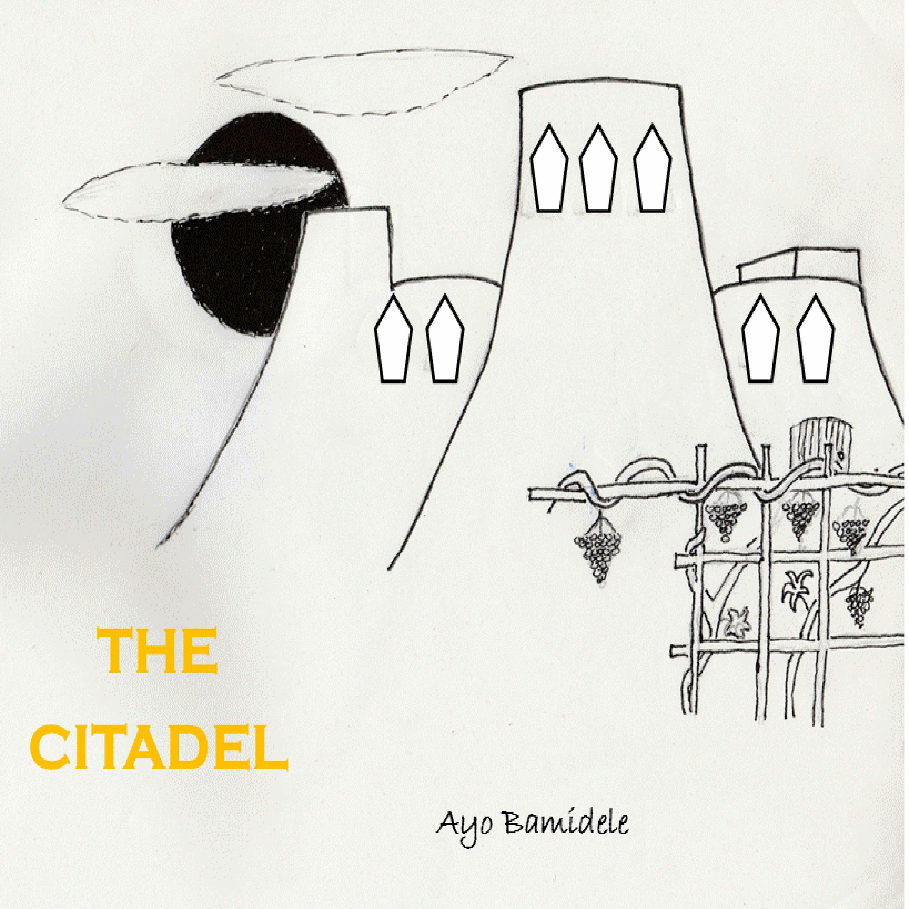 Ayo Bamidele Acoustic Soul & Folk