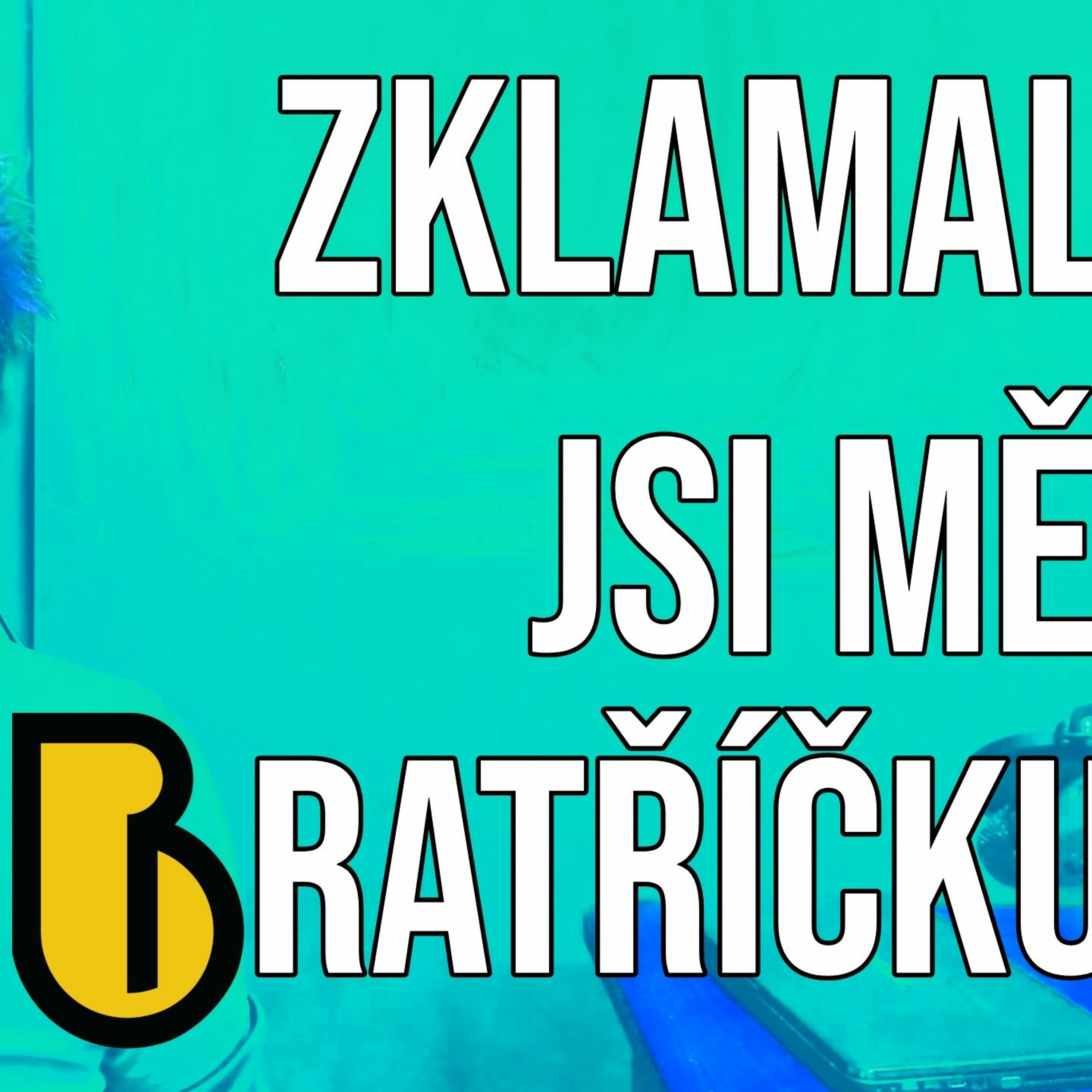 Zklamal jsi mě, Bratříčku 7 - Chaos svobody