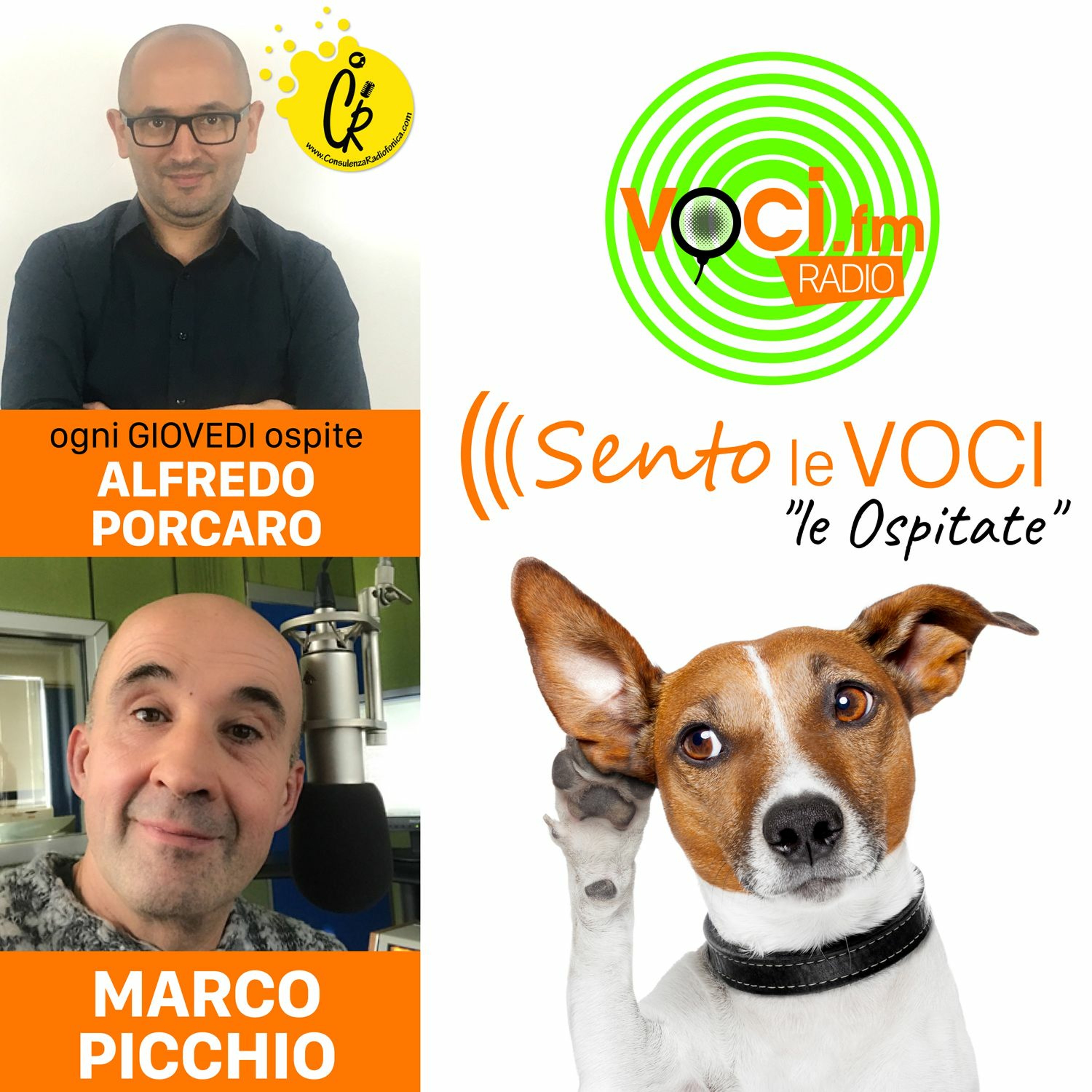 Voci.fm #sitodellevoci