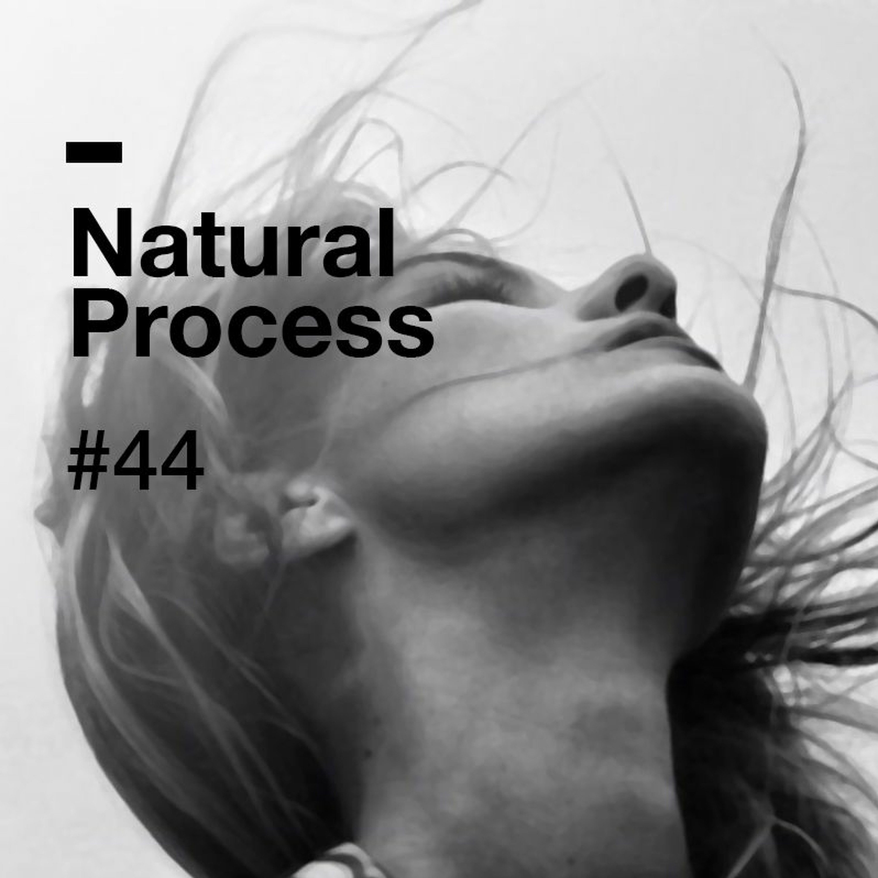 Natural Process #44