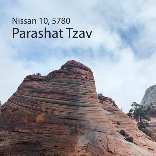 AE: Torah for the Earth - Tzav