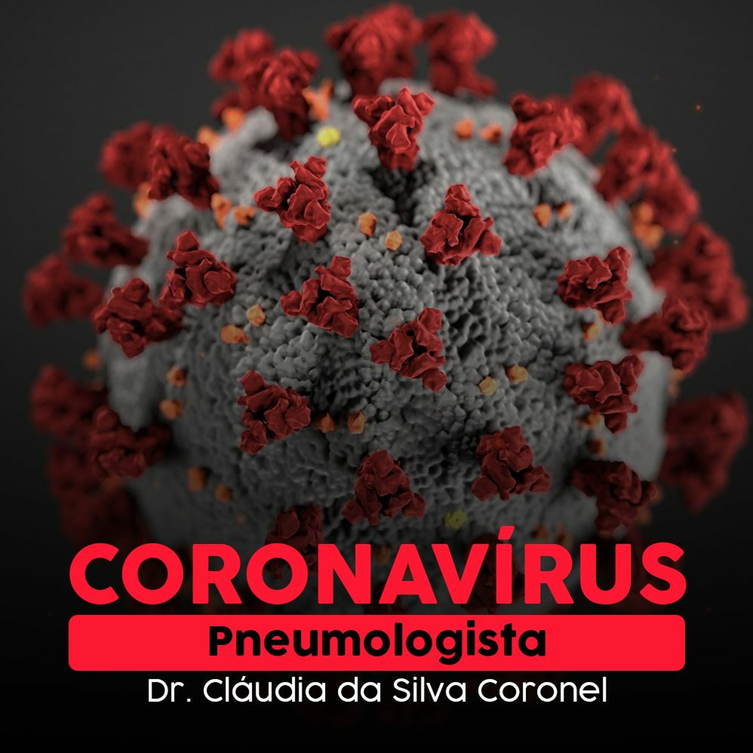 Luciano Hang | Véio da Havan