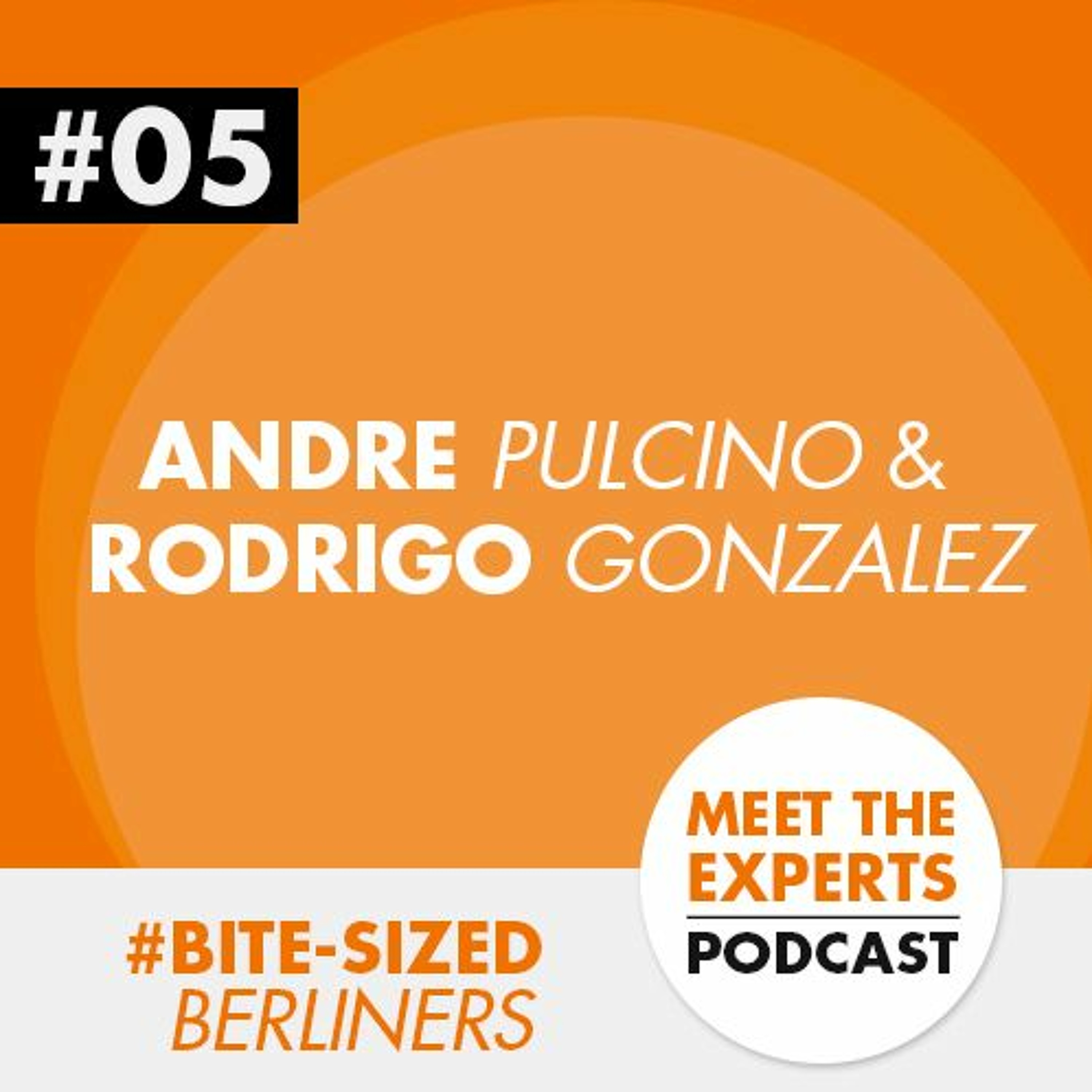 Meet The Experts Podcast