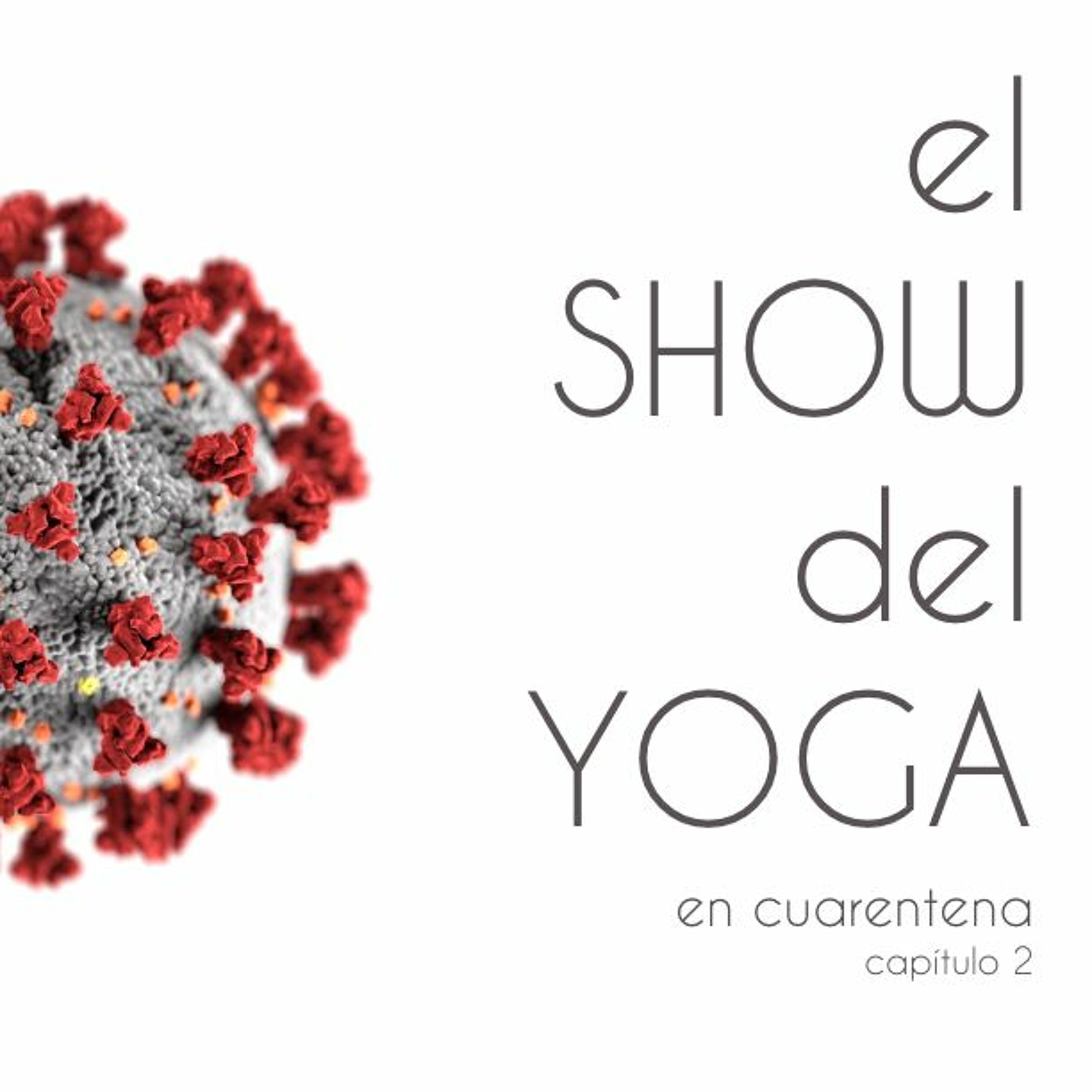 El Show del Yoga