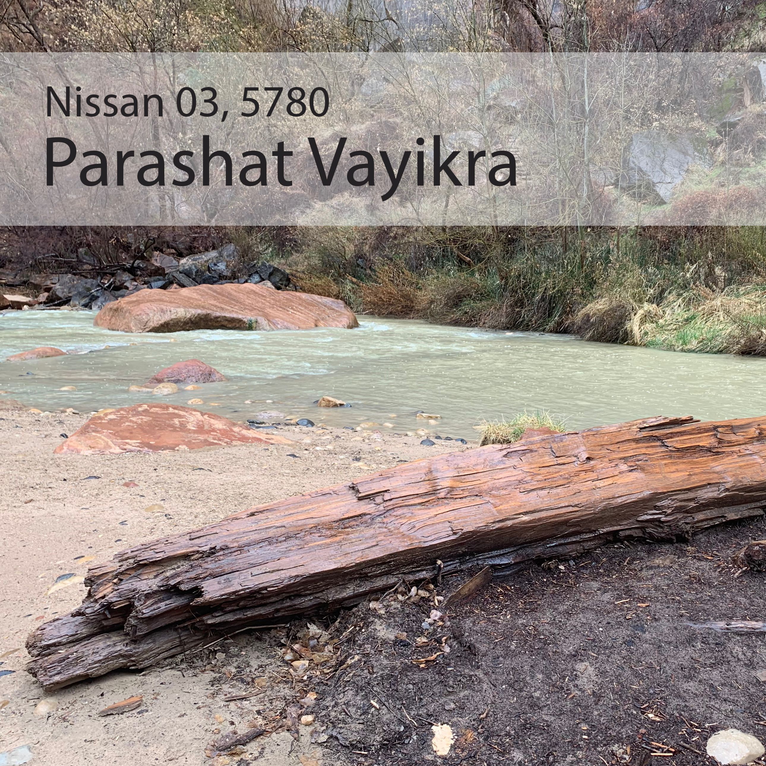 AE: Torah for the Earth - Vayikra