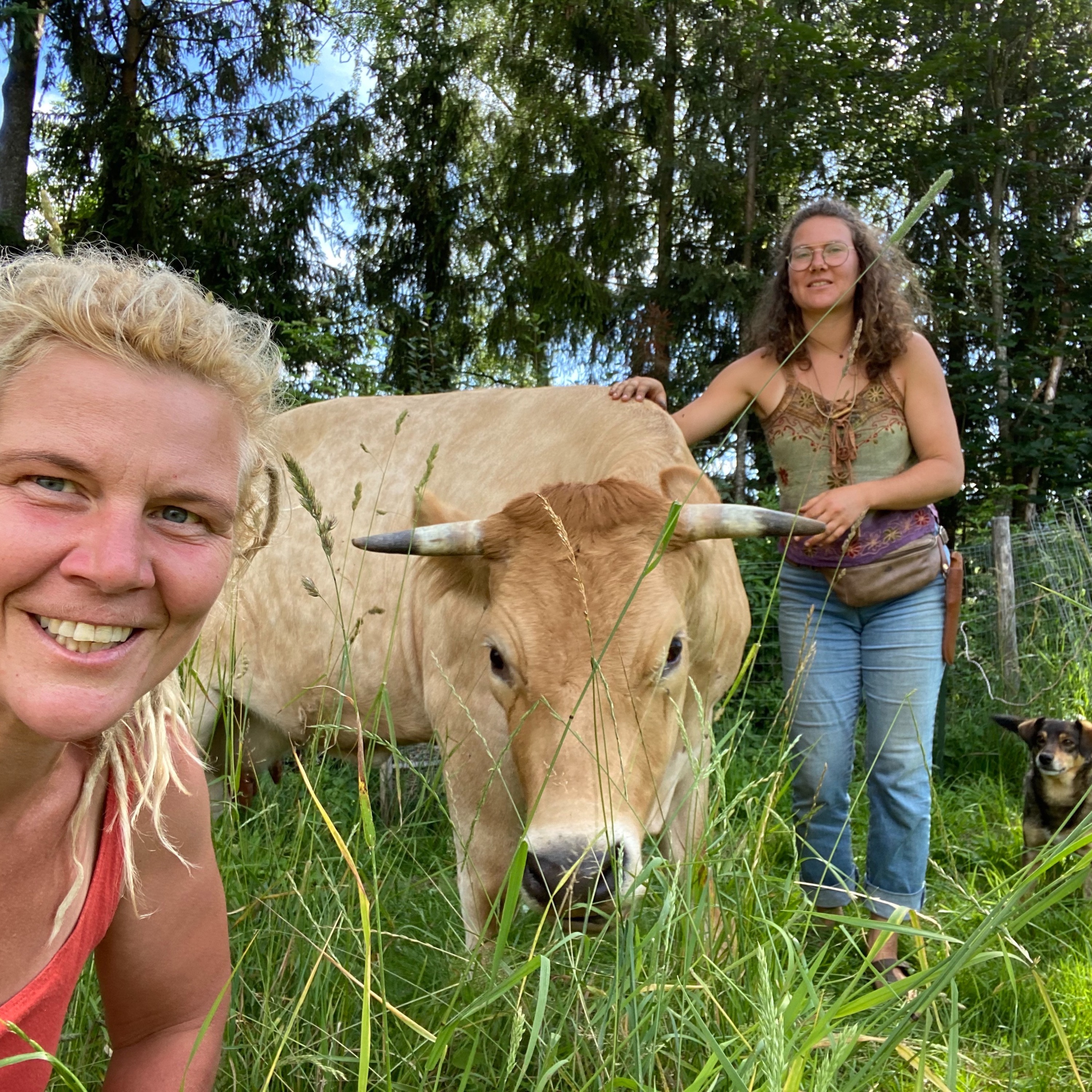 Podcast Aussteigen & Ankommen
