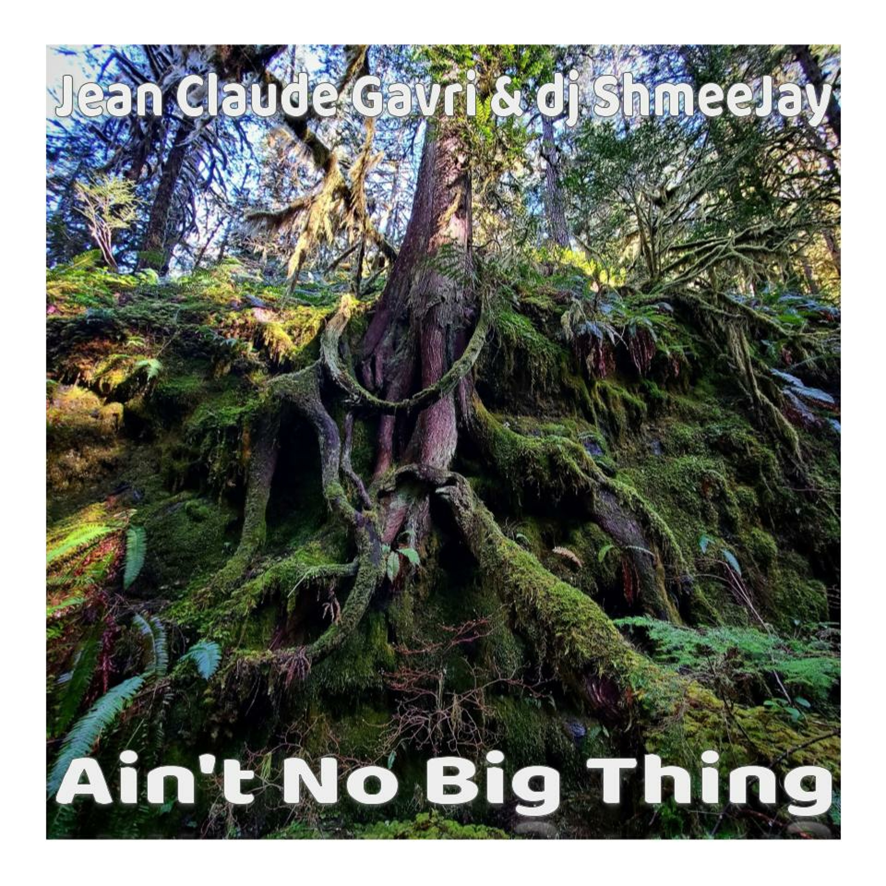 Ain\'t No Big Thing Radio Show