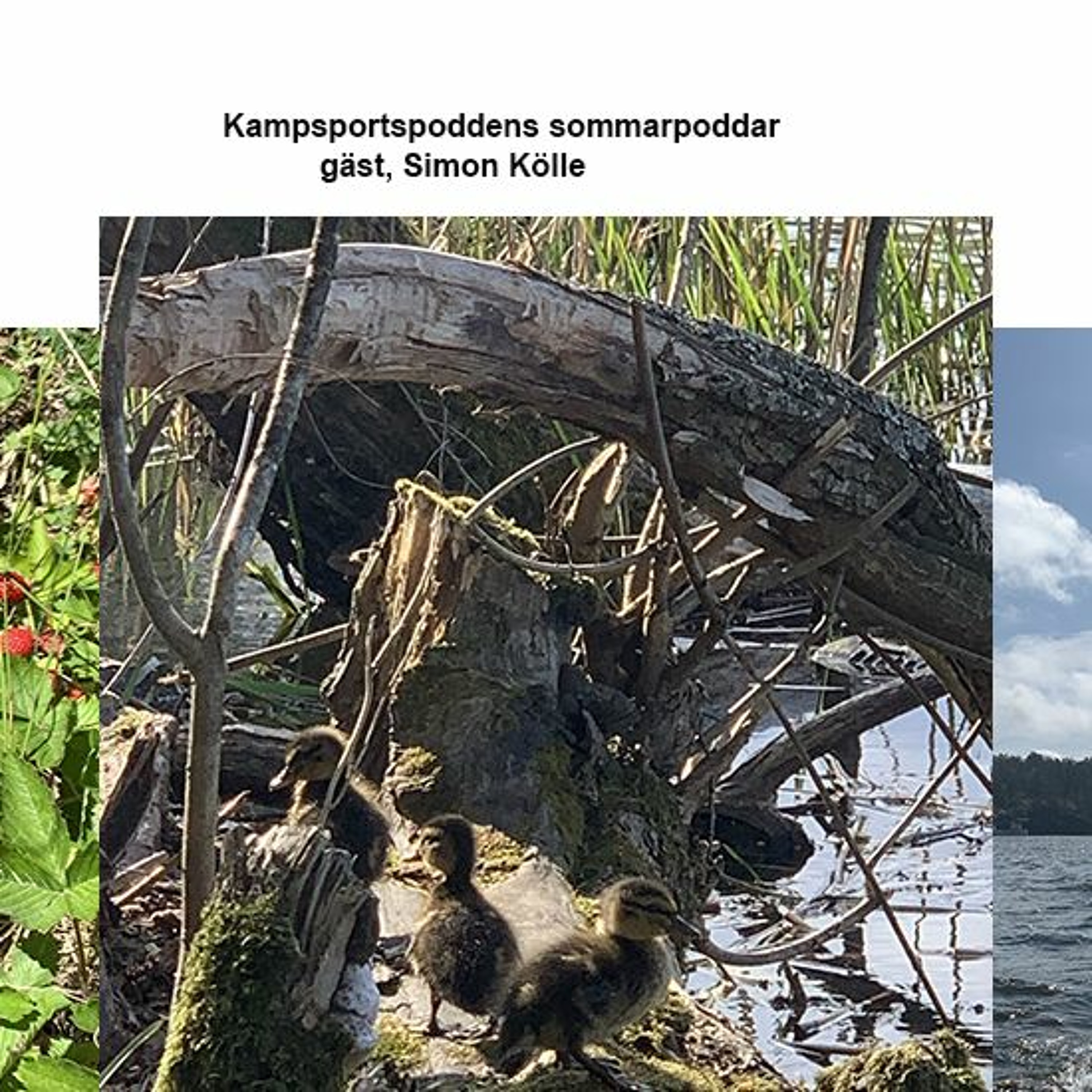 Kampsportspodden