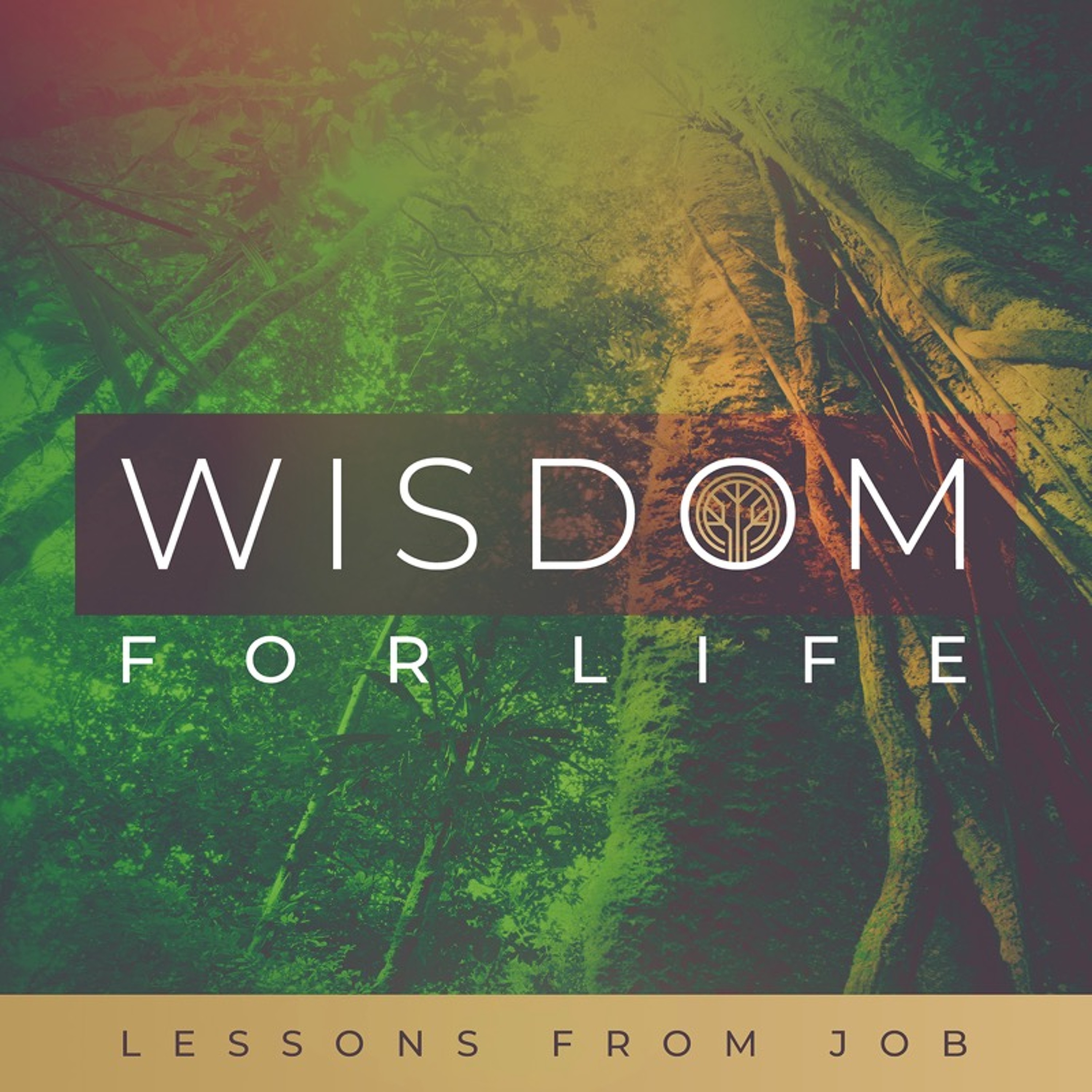 The Cross-Examination of God | WISDOM FOR LIFE | Job 38-42