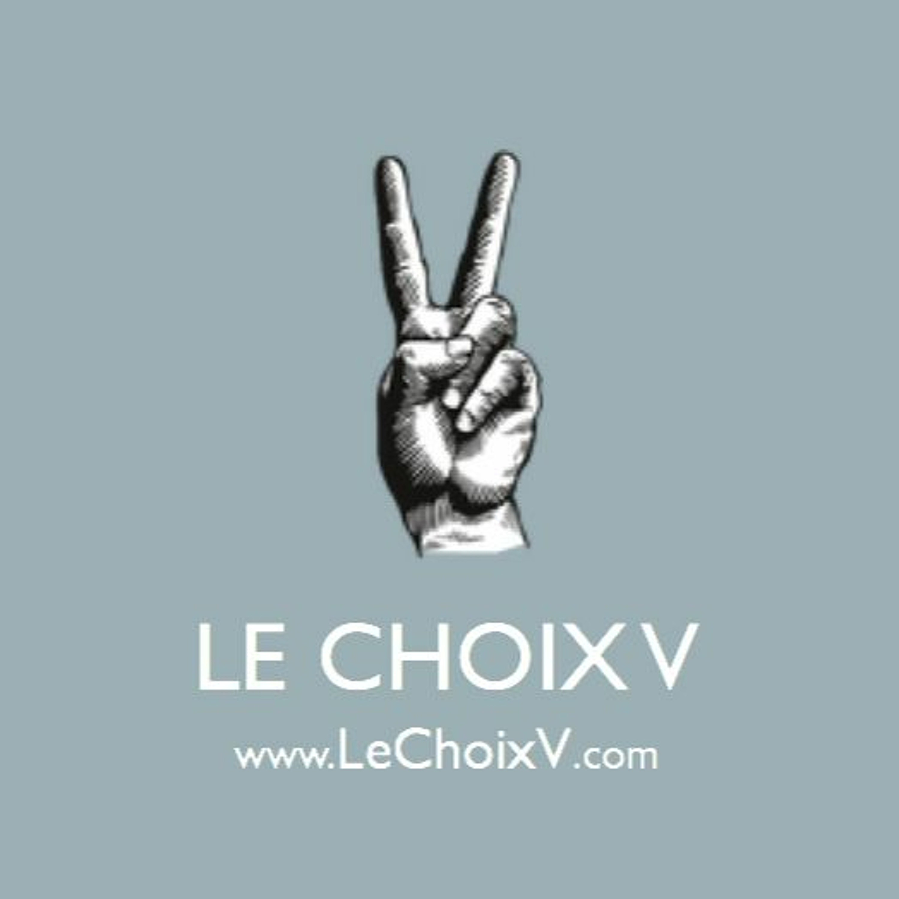003: AudioBlog | Ne pas déranger : le guide pour être une végane que tout le monde aime