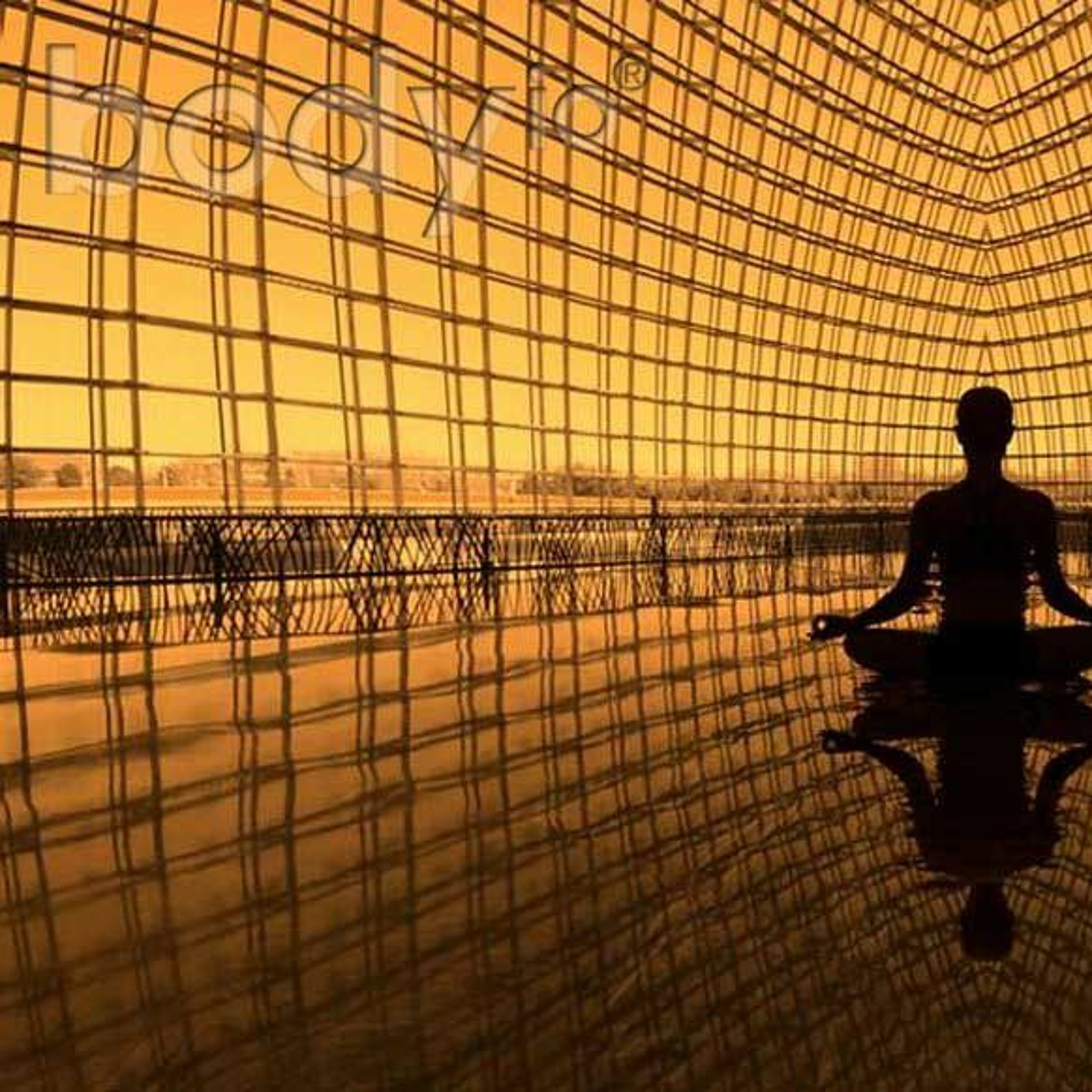 Ask Kiefer Anything - Methylation, Mindset, And Patterns