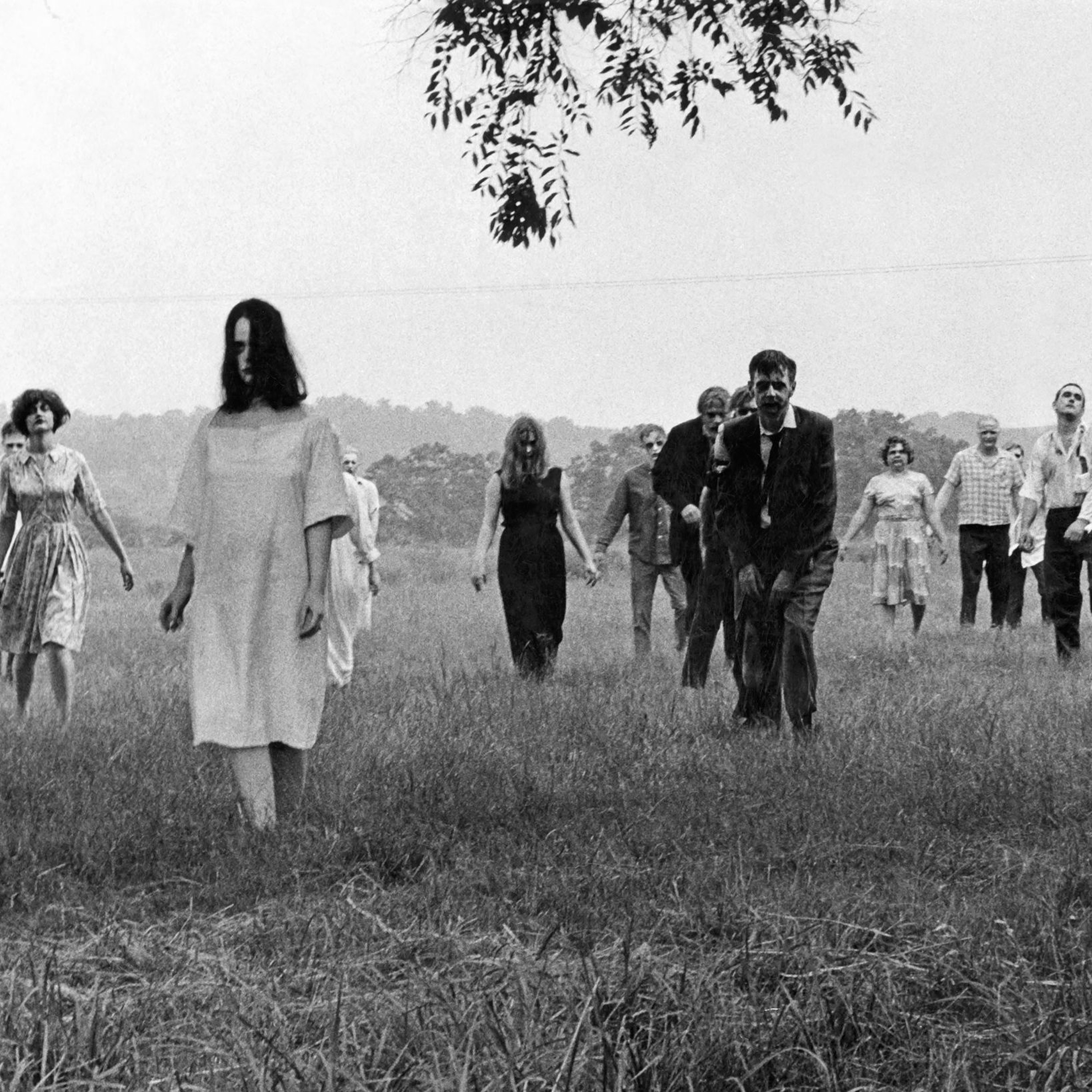 "Watermarks, Outliers, and The Living Dead" ft Rob 11/5/20