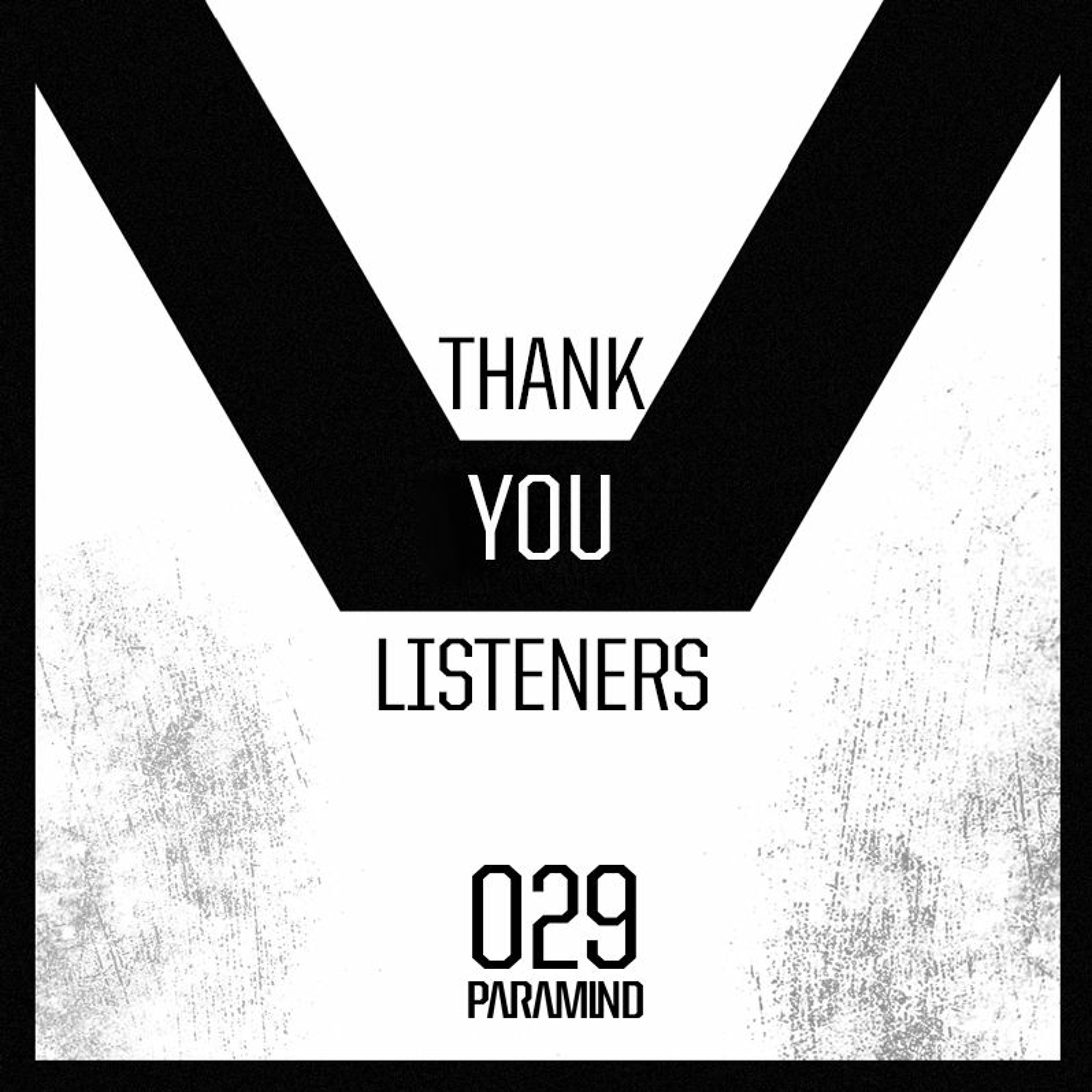 029 - The Raw Machine | By Paramind