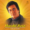 Aaj Dil Beqarrar Sa Kyon Hai (Album Version)