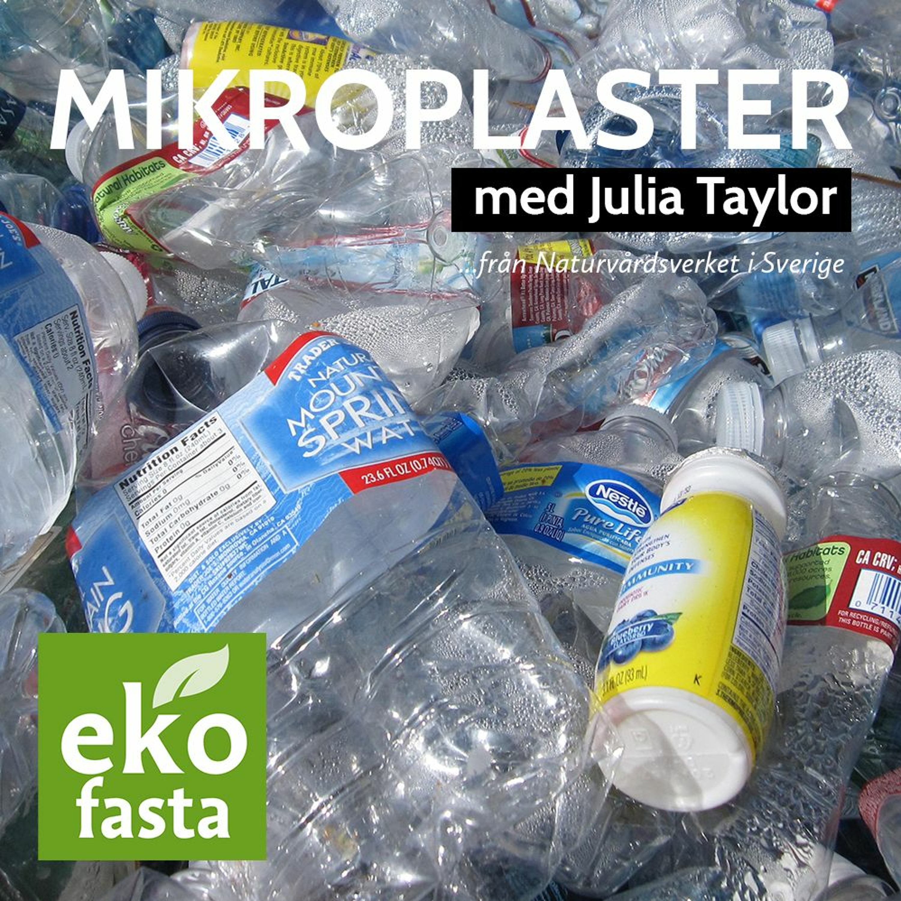 Ekofastapodden