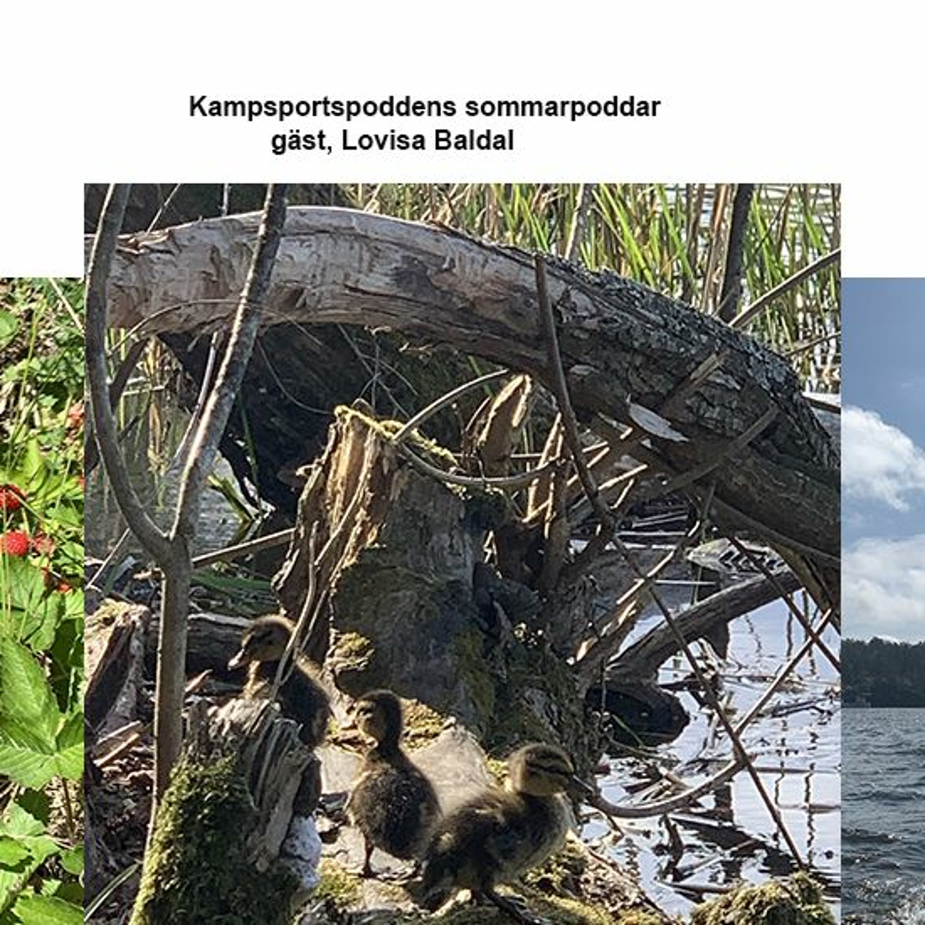 Kampsportspodden