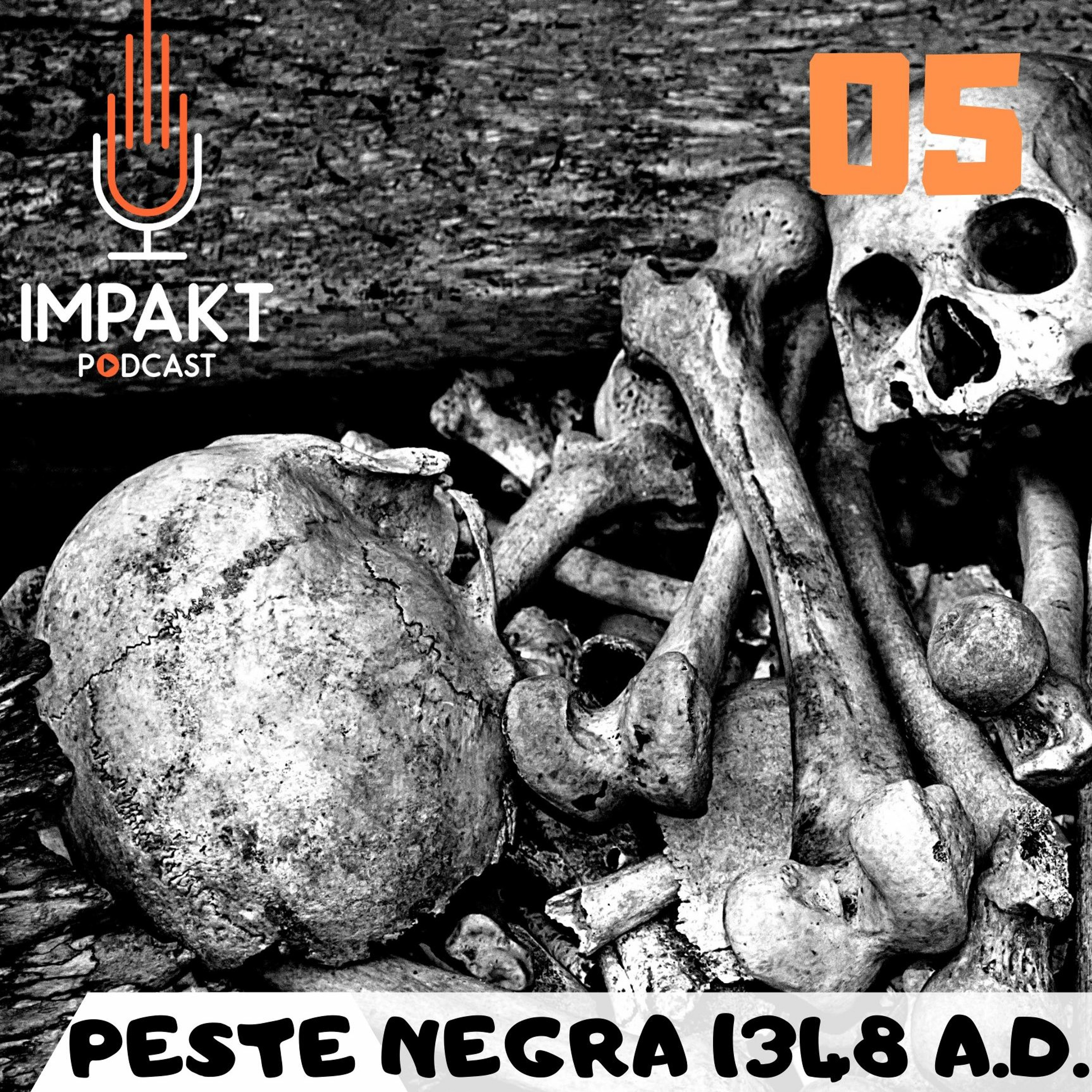 05 - Peste Negra 1348 AD
