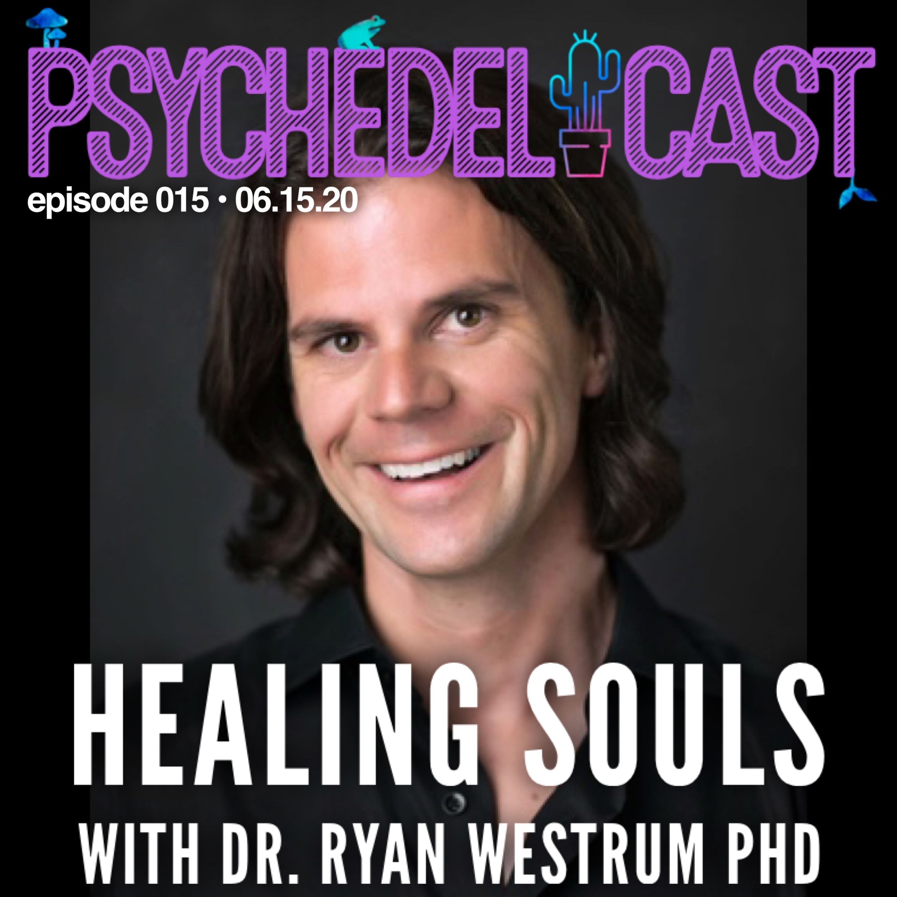 015 Healing Souls w/ Dr. Ryan Westrum PhD