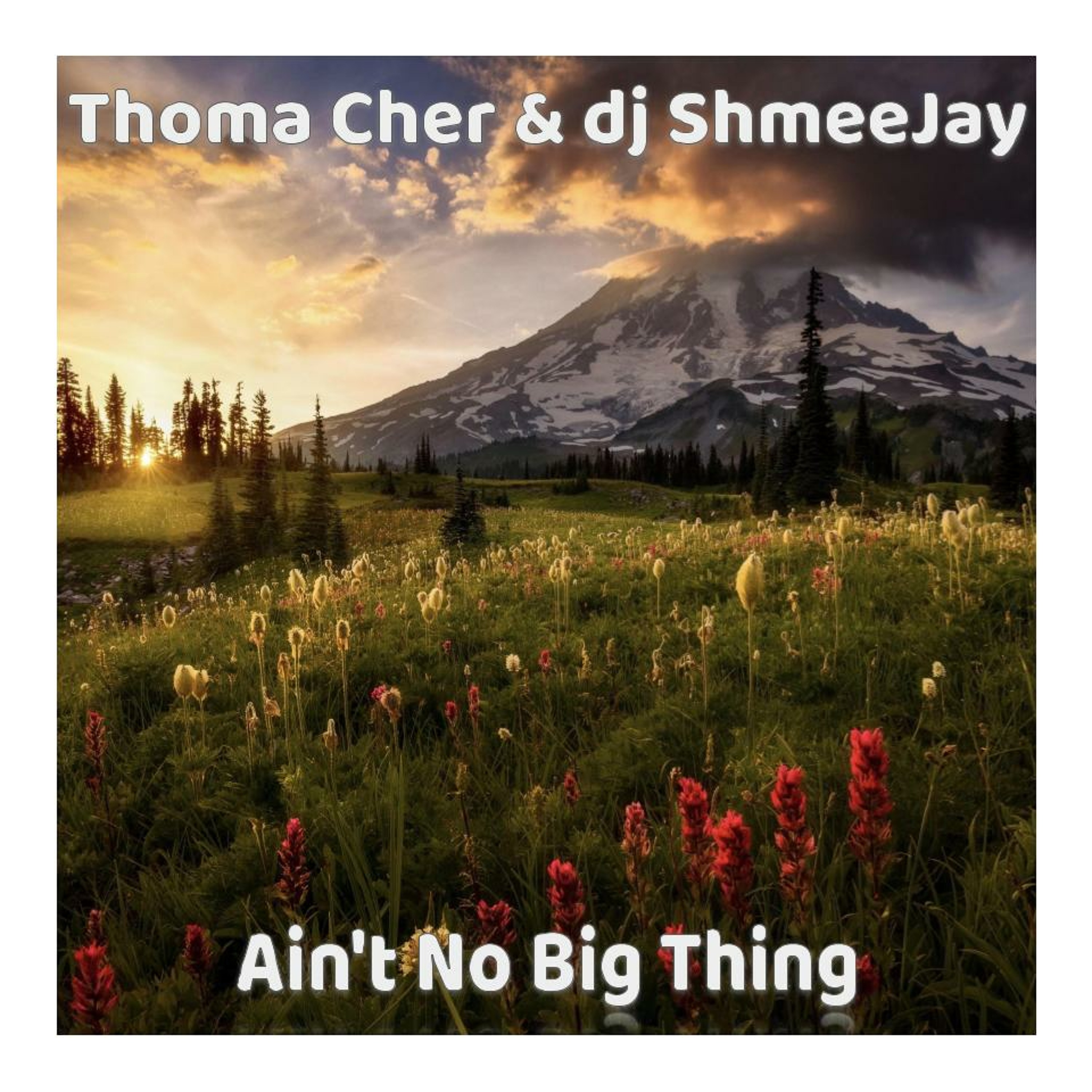 Ain\'t No Big Thing Radio Show
