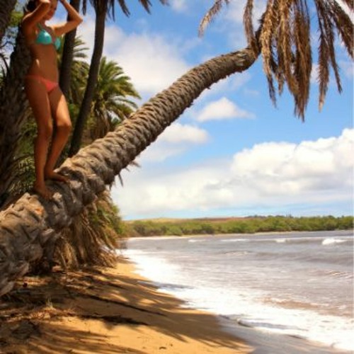 Красивая Девушка Отдыхающая У Пальмы На Пляже