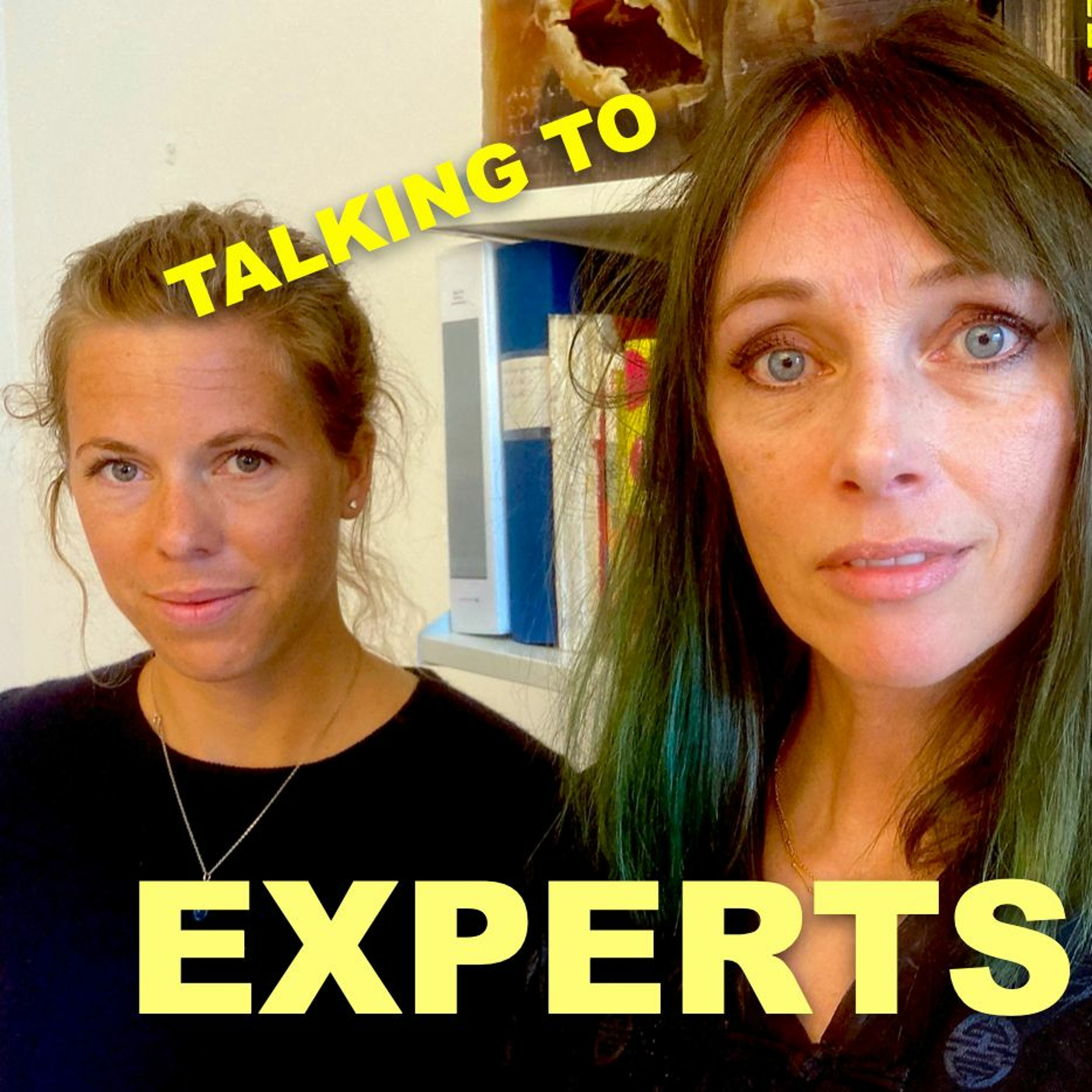 Talking to Experts