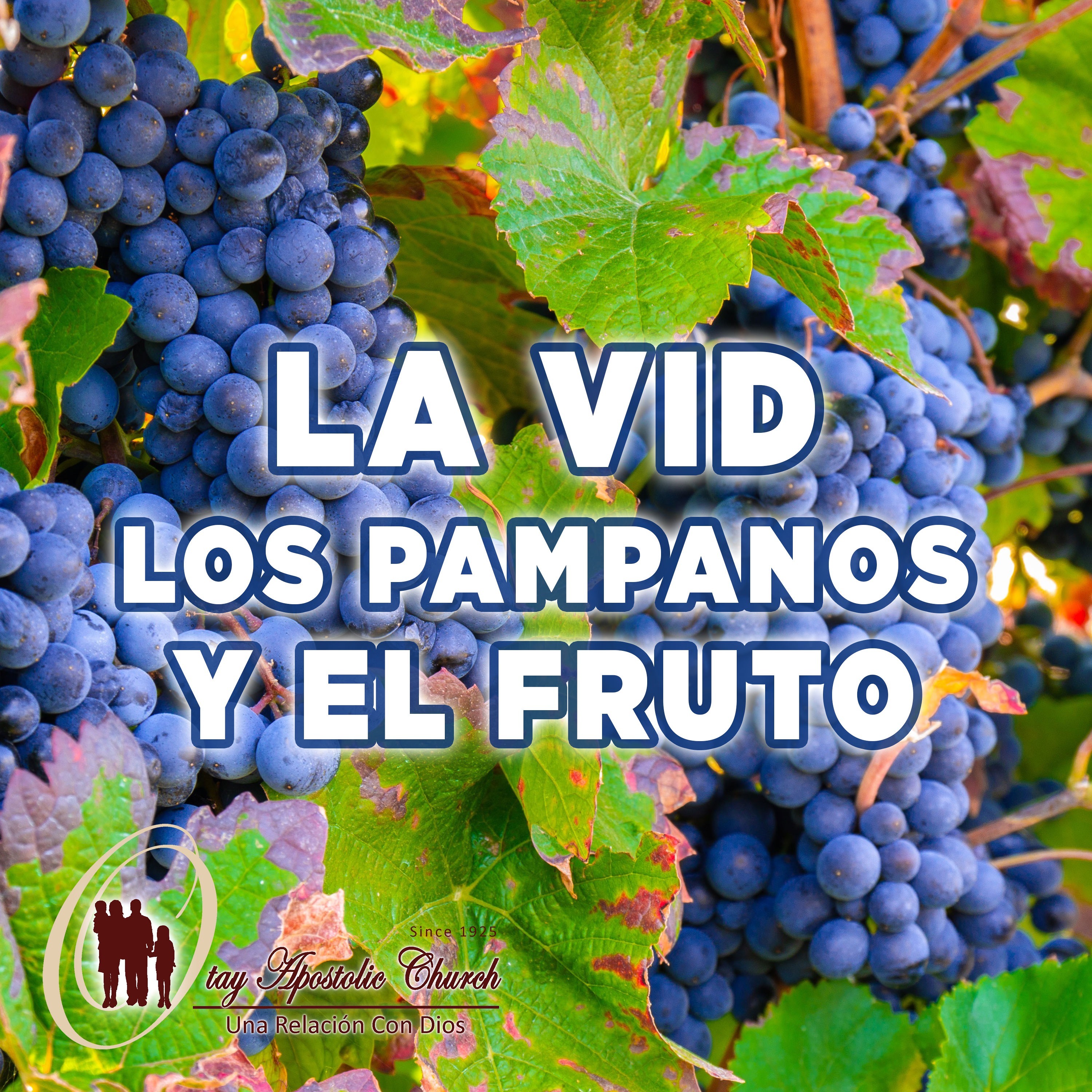 La Vid, Los Pámpanos y El Fruto