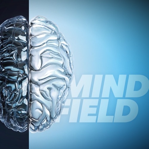 Mindfield | Control In Chaos