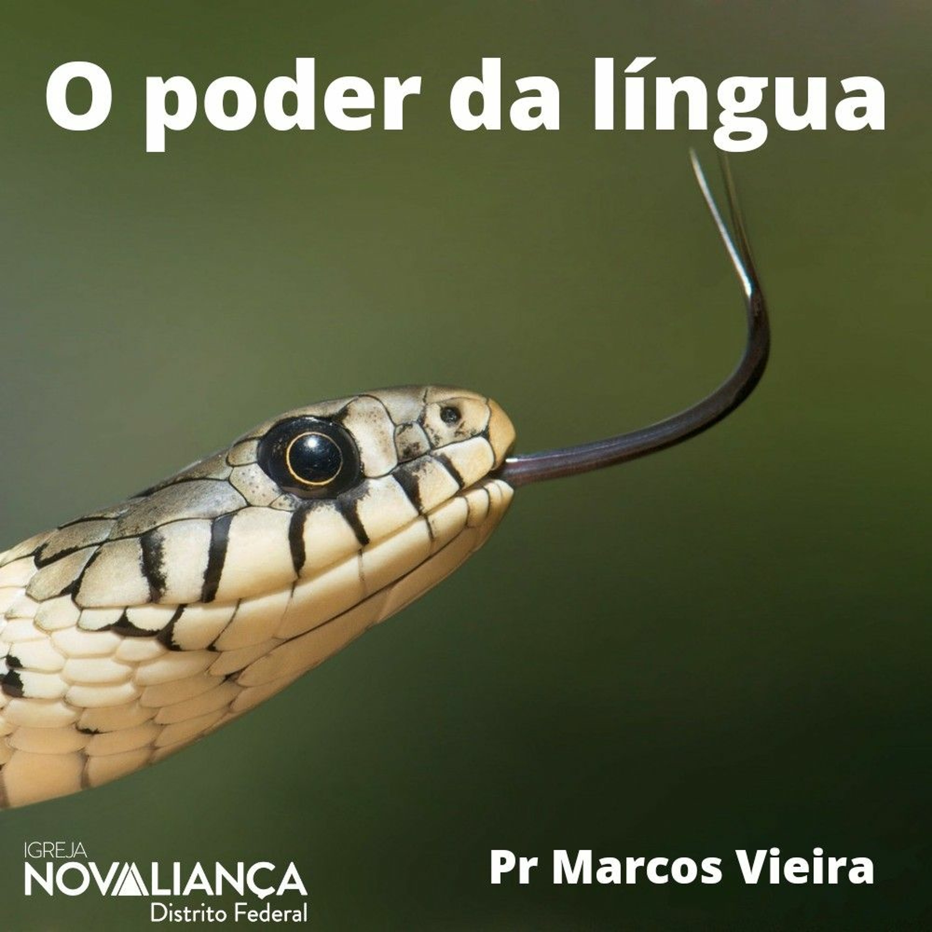 Pr Marcos Vieira