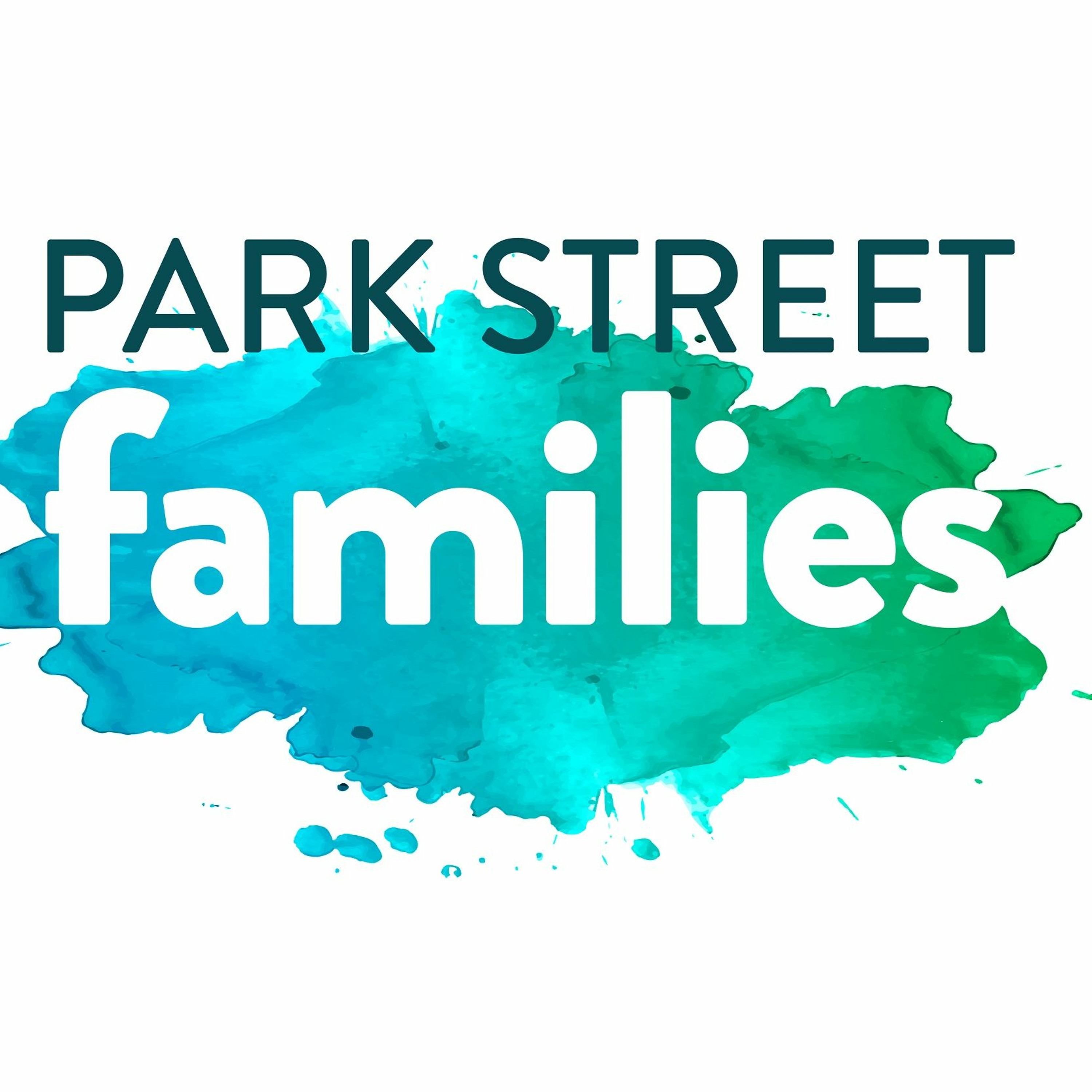 Episode 27 - An Interview About Faith And Family With Kris Perkins