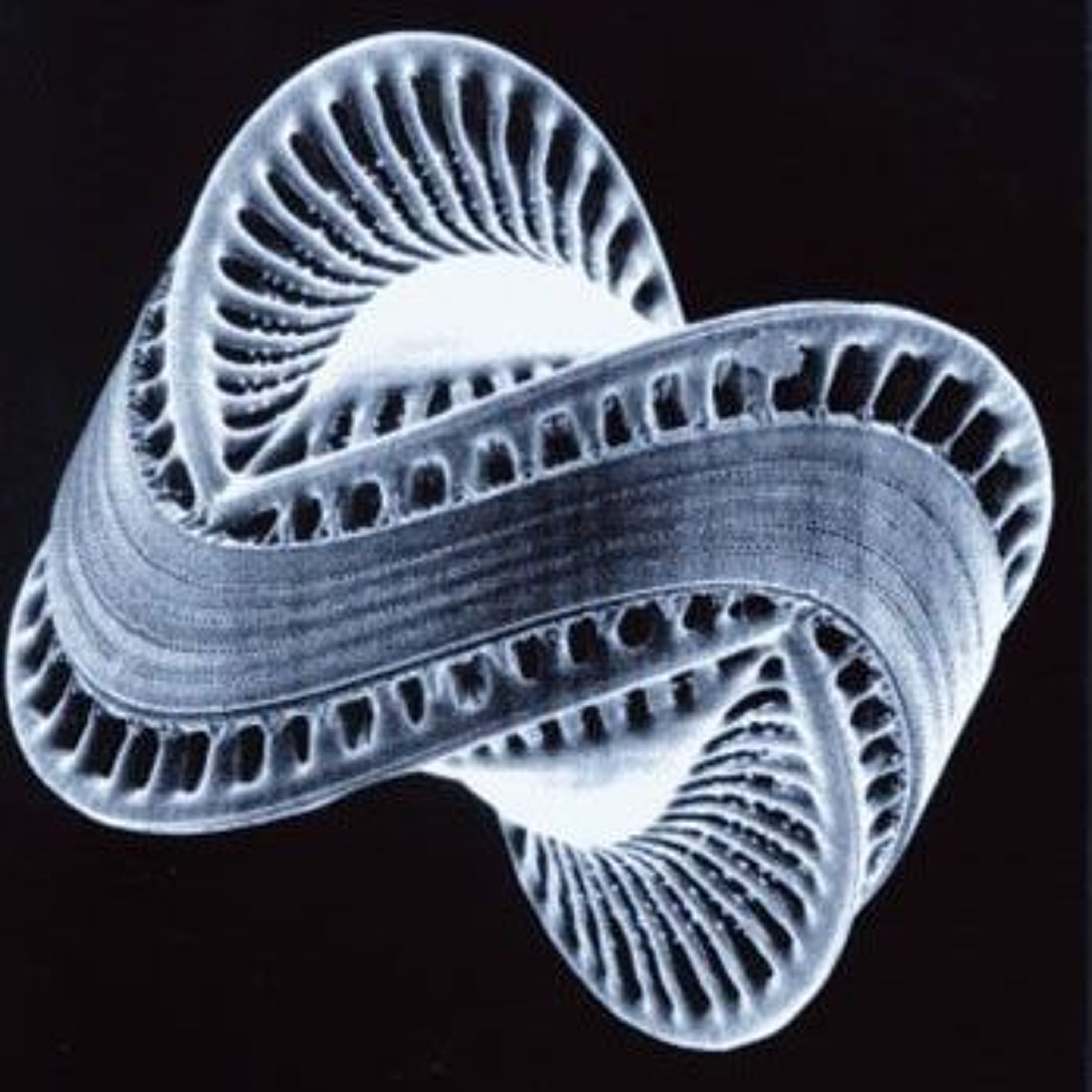 Rhythmicity Podcast