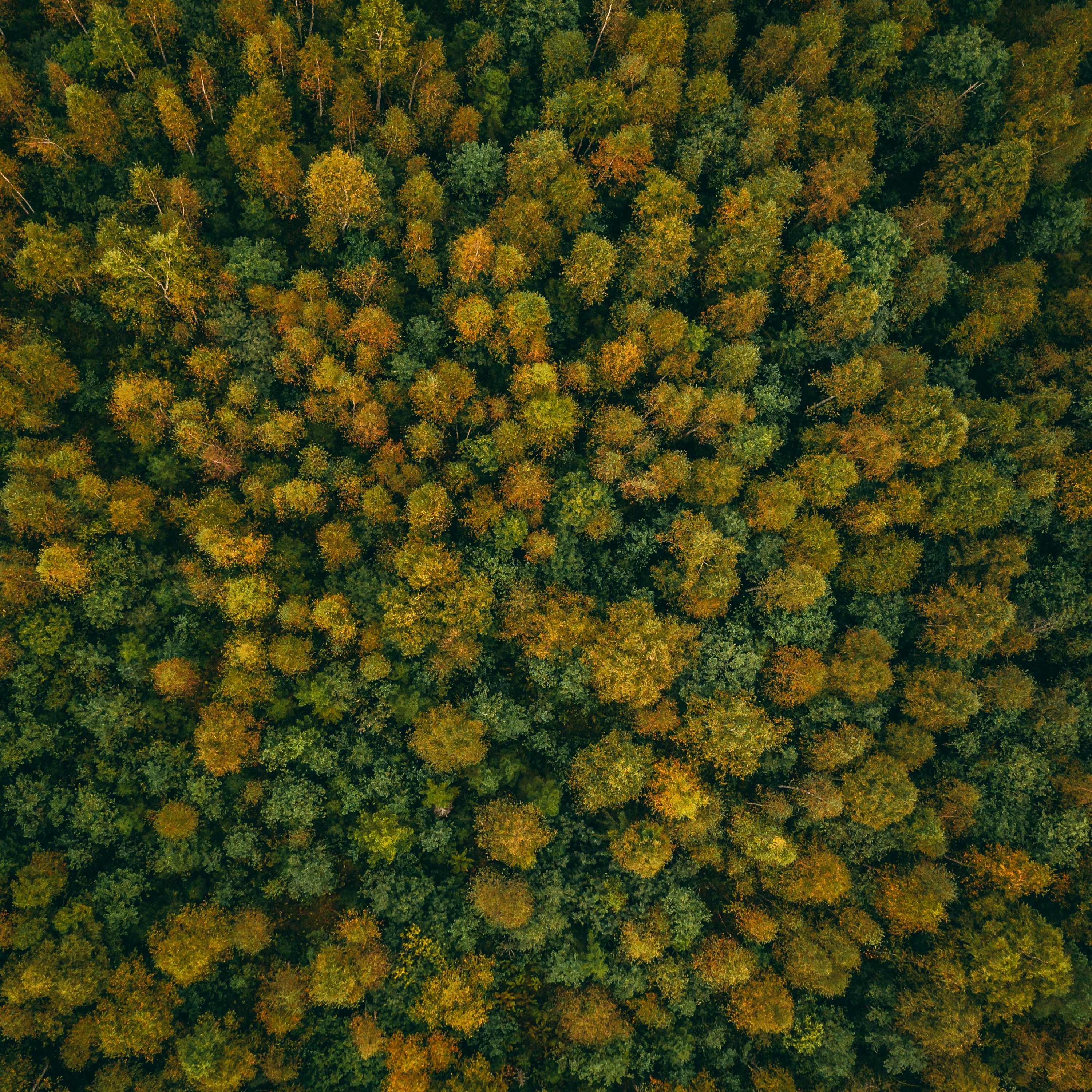 Episood 18. Sügisfotograafia.