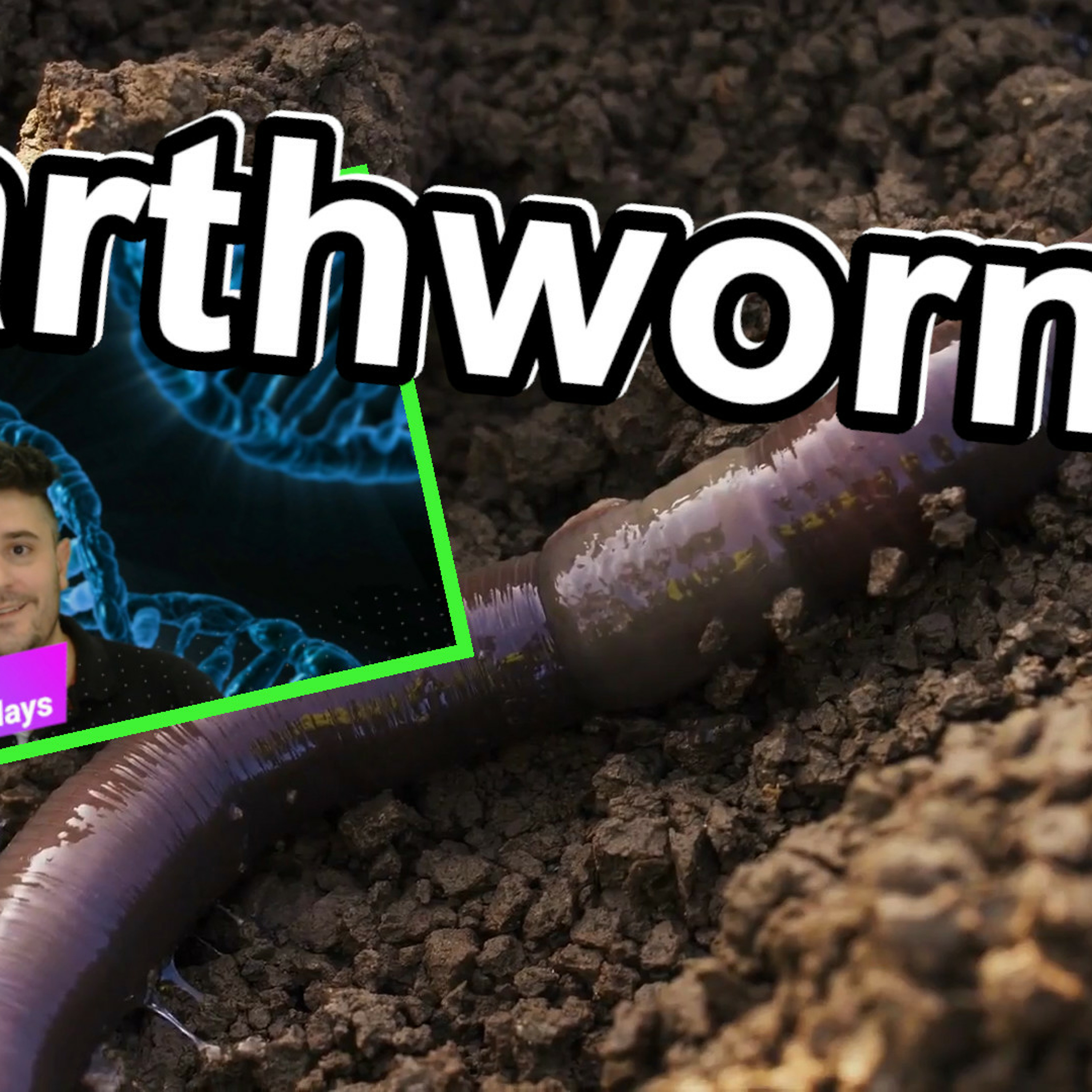 10 Cool Facts about Earthworms