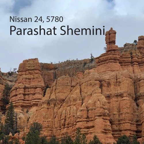 AE: Torah for the Earth - Shemini