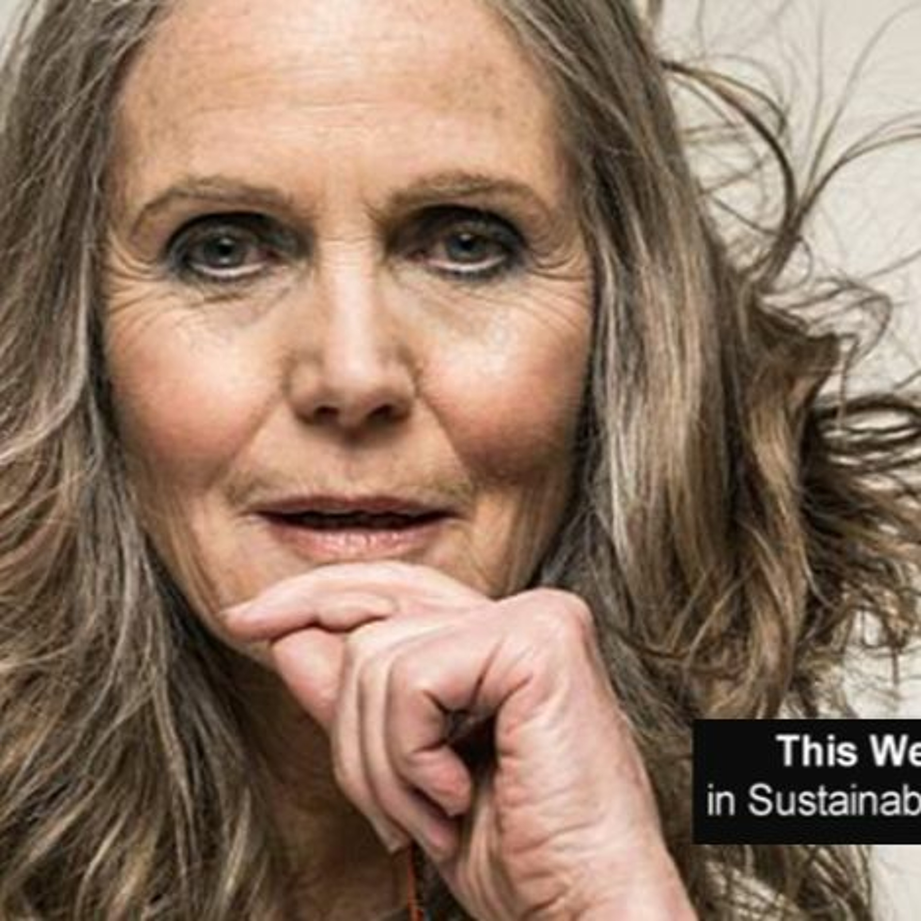 The Sustainable Century