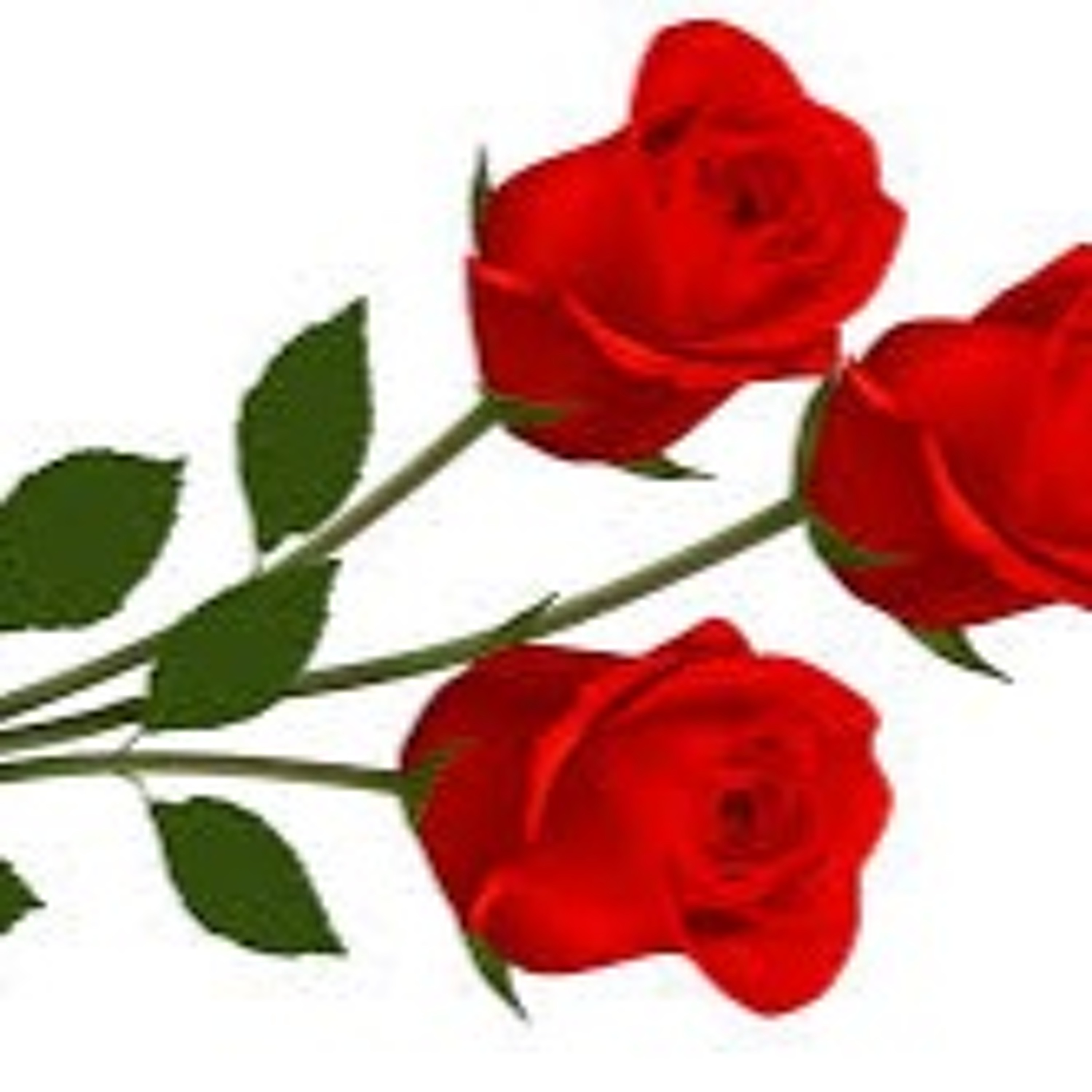 The Highlander News Podcast