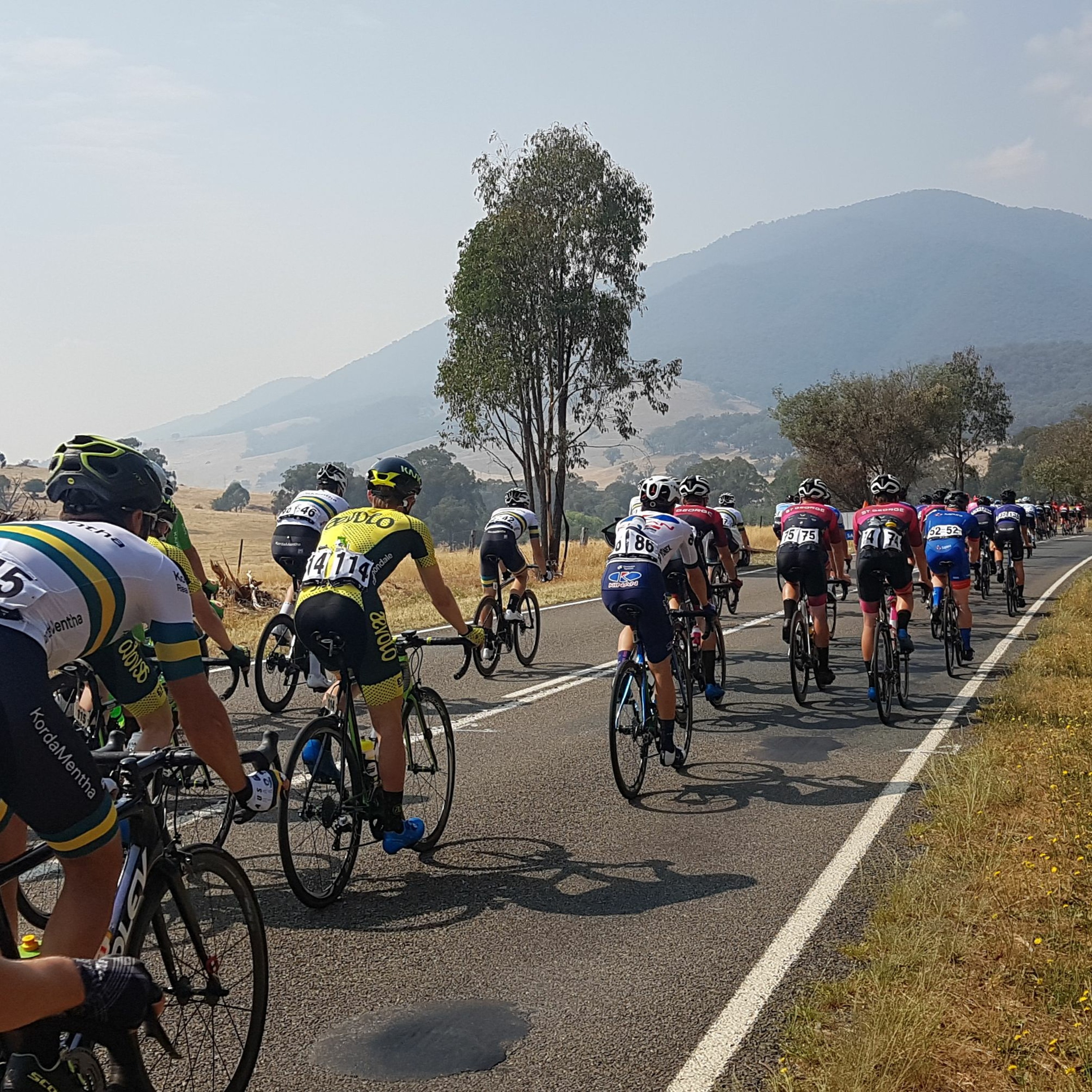 Herald Sun Tour + Warnny Wrap