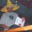 Avatars-000000051100-82ff9b-badge