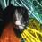 Avatars-000000072892-07316b-badge