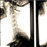 Avatars-000000145820-517ae3-badge