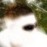 Avatars-000000259268-f5d0e8-badge