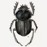 Avatars-000000316692-b11990-badge