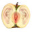 Avatars-000000564746-fe6c53-badge