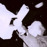 Avatars-000000564985-wb2w4v-badge
